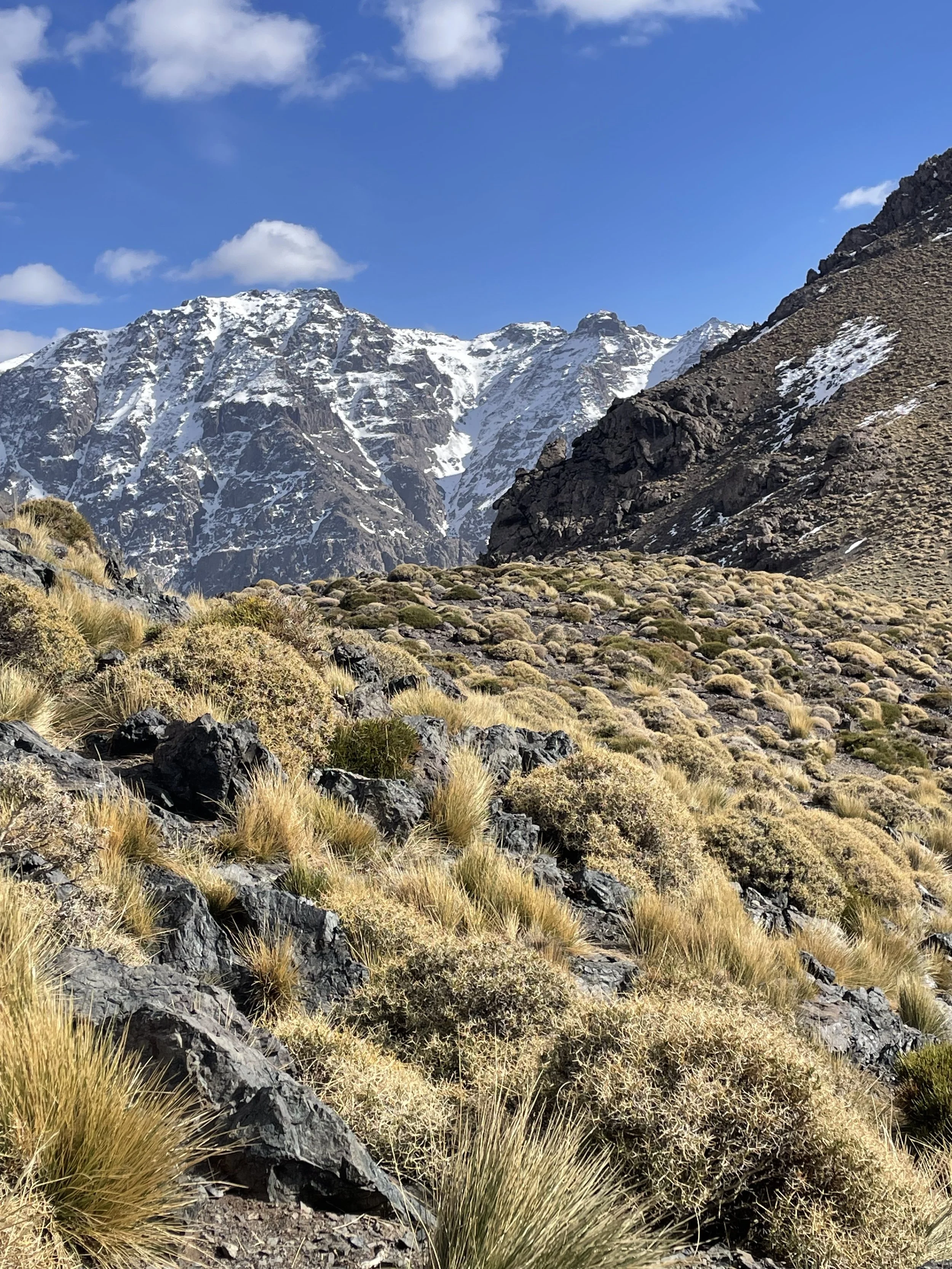 High-Altitude Summit Adventure