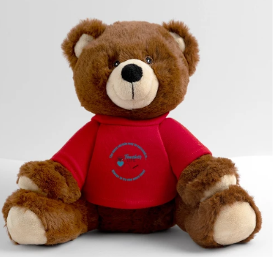 Brown teddy bear wearing a red shirt with a smiley face, sitting against a plain background.