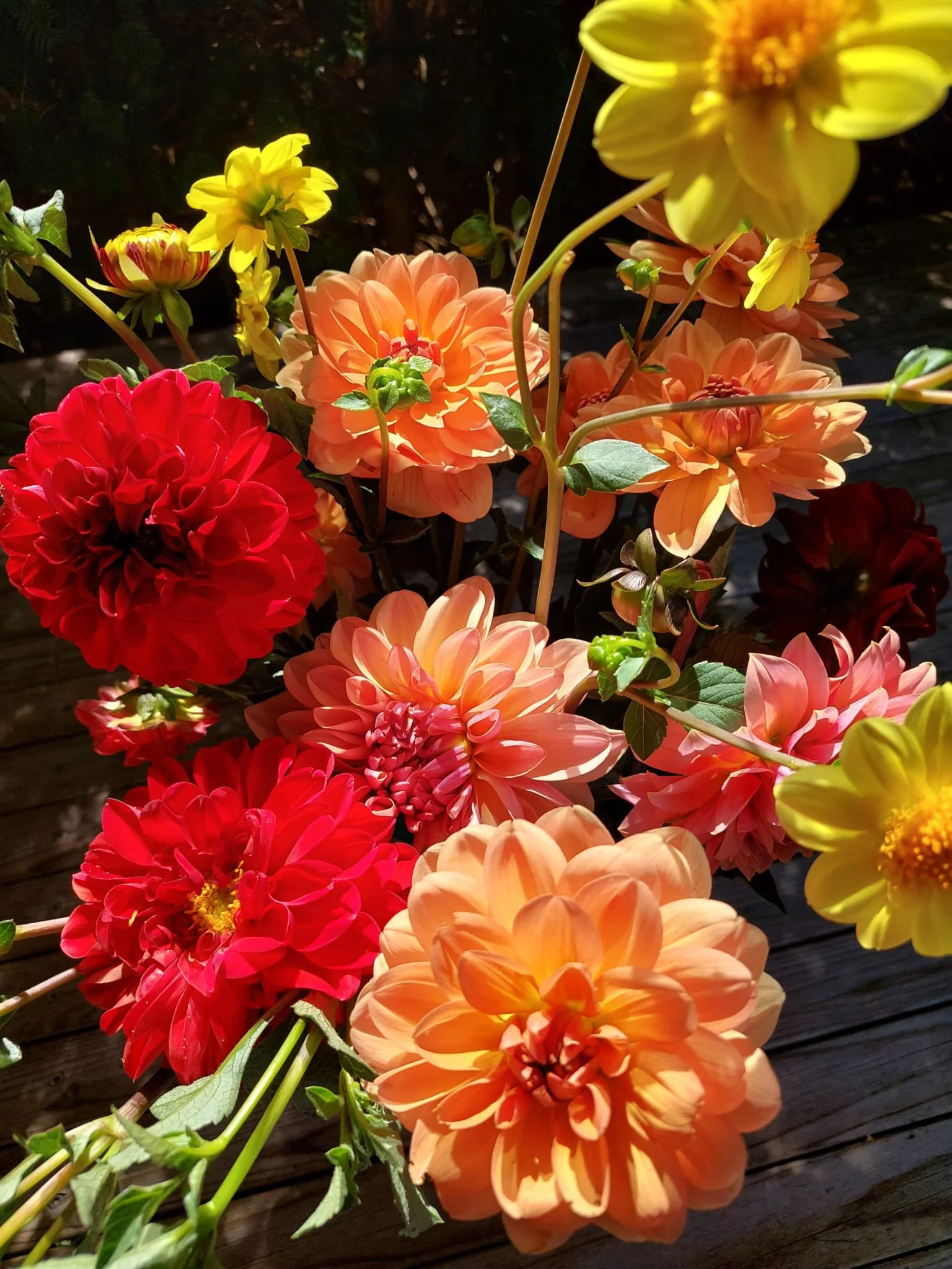 Dahlien-Bouquet
