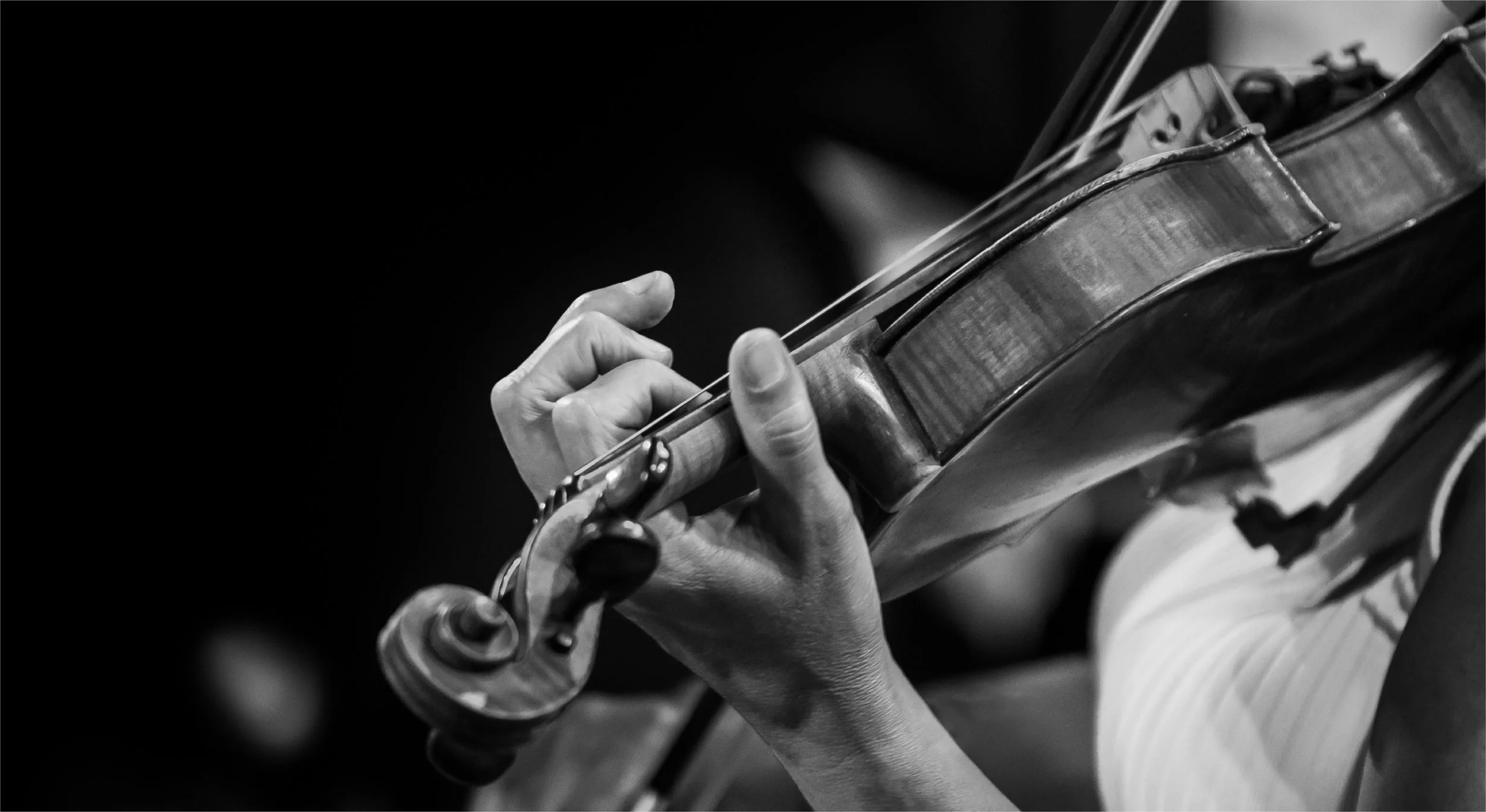 Amir AlSaffar New Quartet at Stissing Center for the Arts