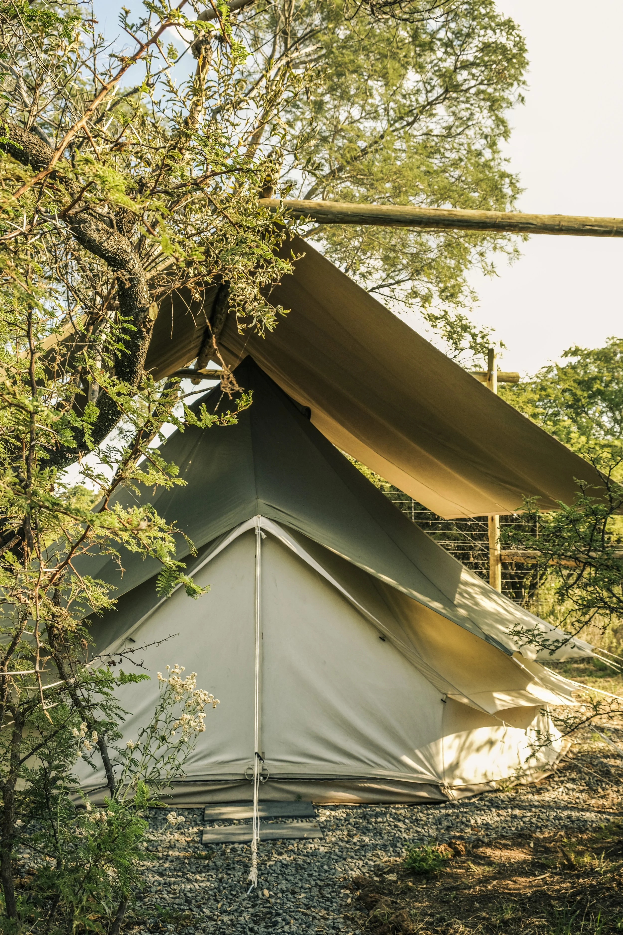 Adventure Camp tents