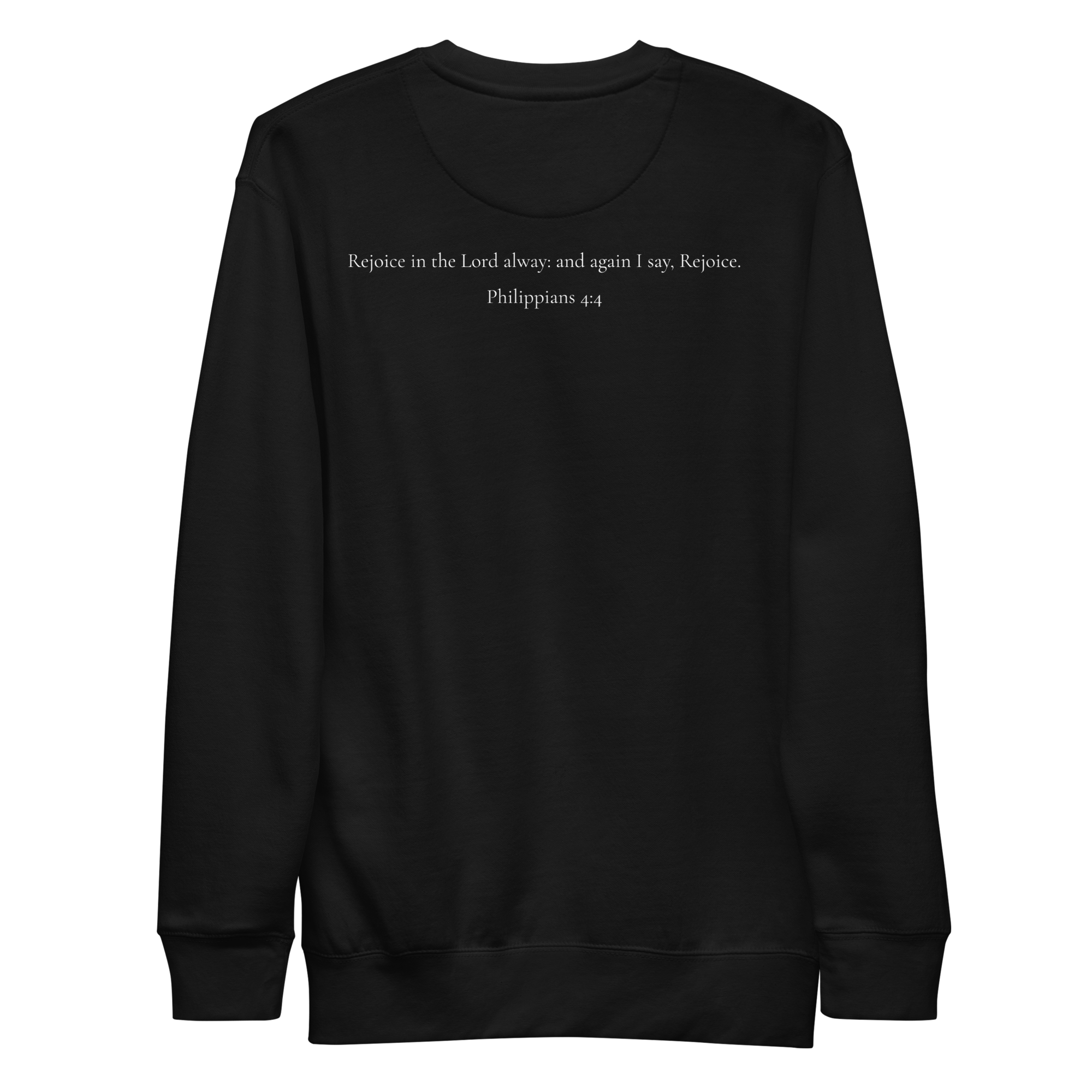 unisex-premium-sweatshirt-black-back-693a2d2060979.png