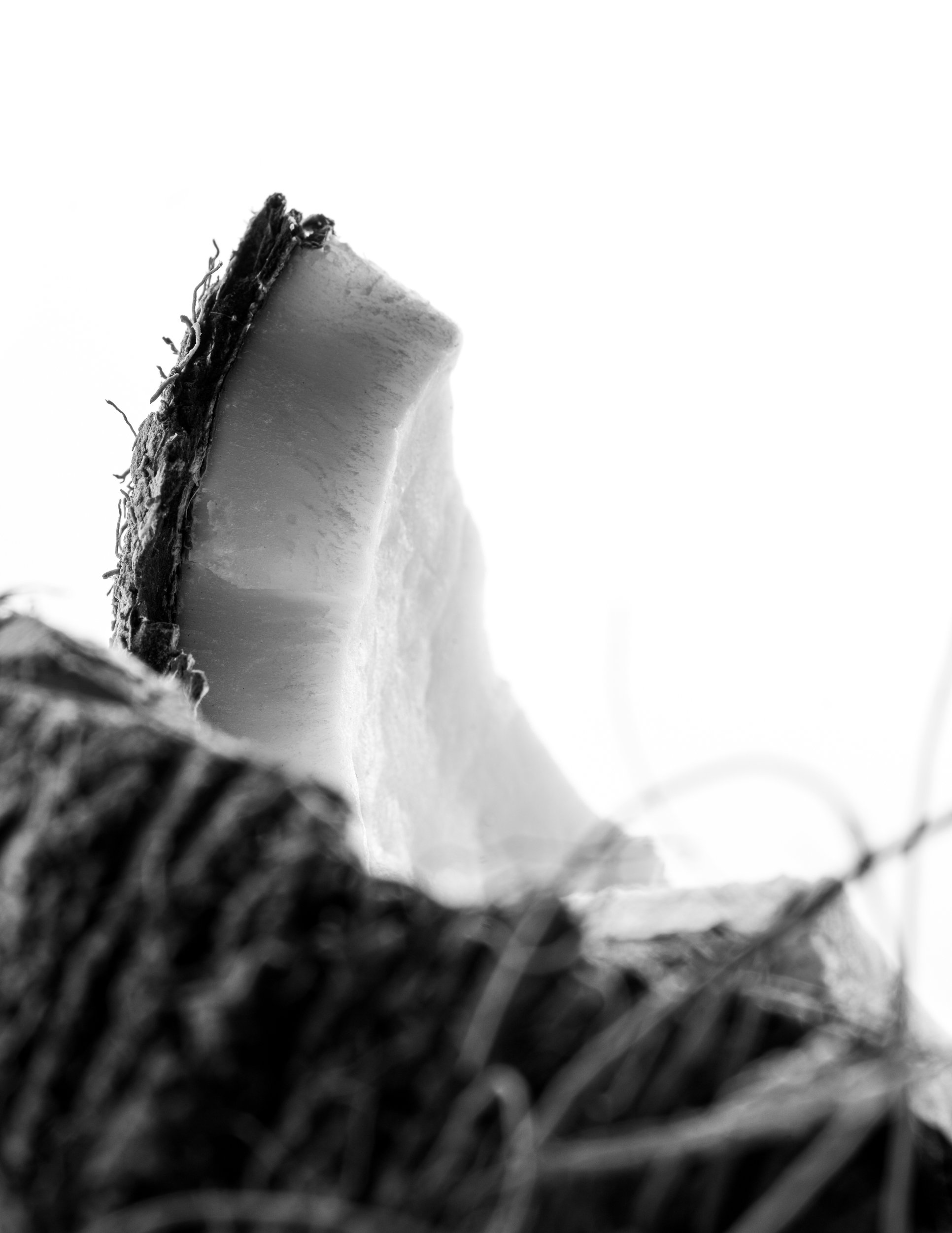 20260905_240_AC.jpg