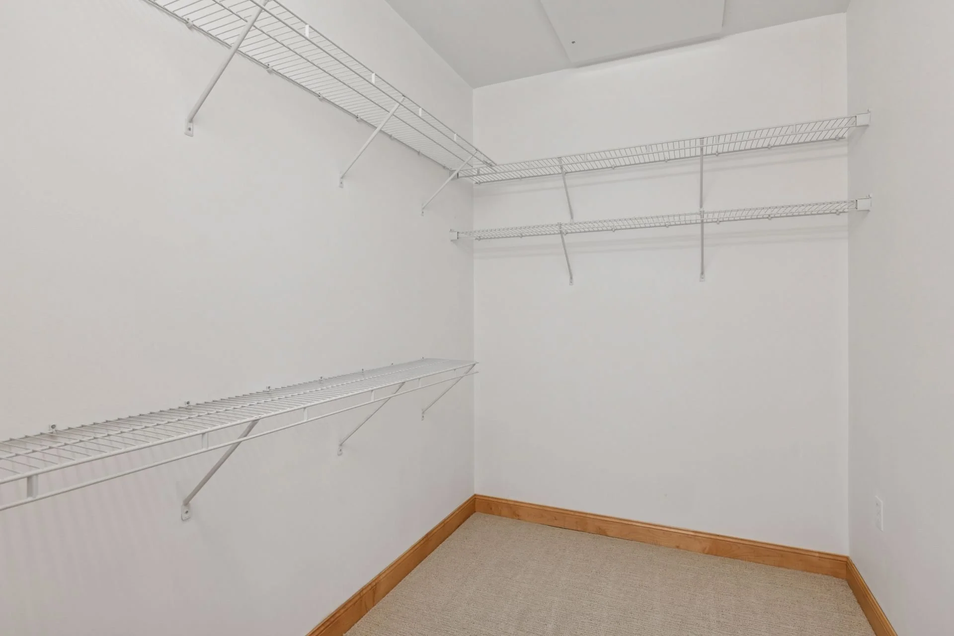 Empty walk-in closet with white wire shelves installed on white walls, beige carpet, and wooden baseboard.