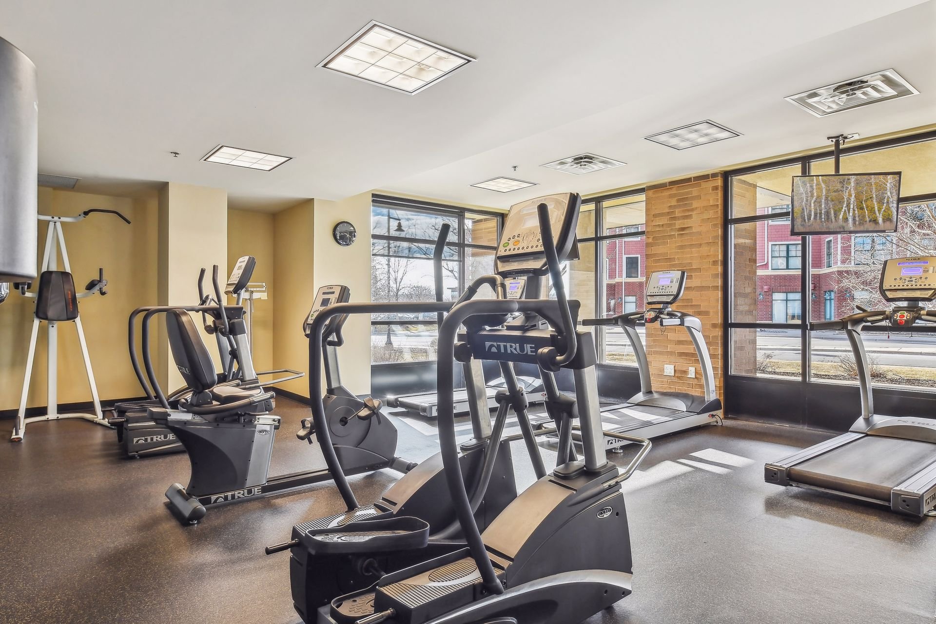 Gym with exercise machines, treadmills, elliptical, and stationary bike, large windows showing outdoor buildings and trees.