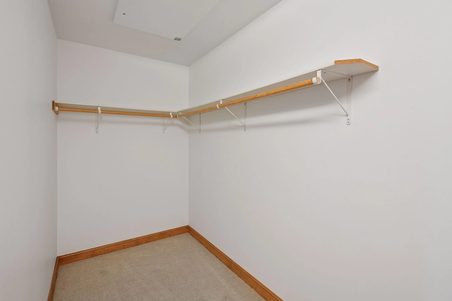 Empty walk-in closet with hanging rod and shelf on white walls, beige carpeted floor, and a ceiling vent.