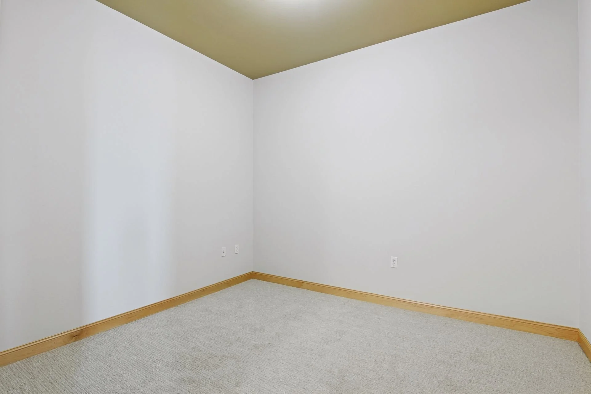 Empty room with white walls, beige carpet, and wooden baseboards, and a corner view of the ceiling.