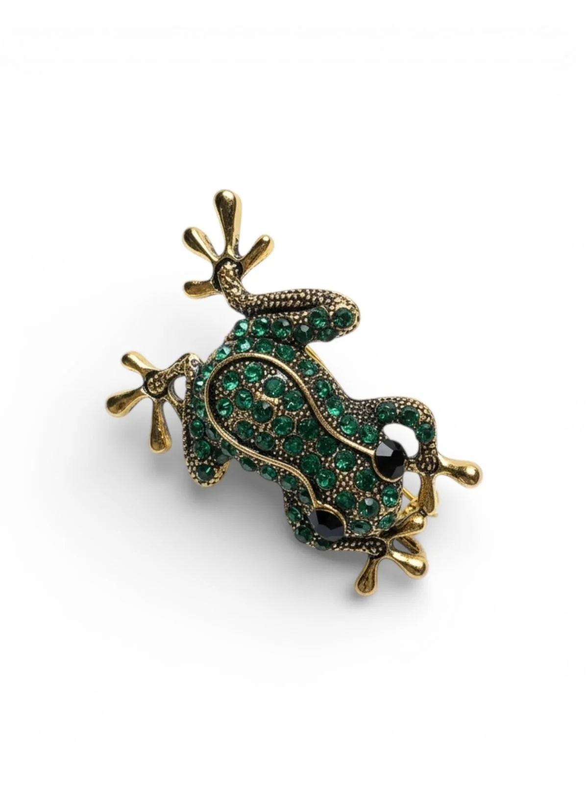 WhatsApp Image 2026-02-08 at 11.48.04-3.jpeg