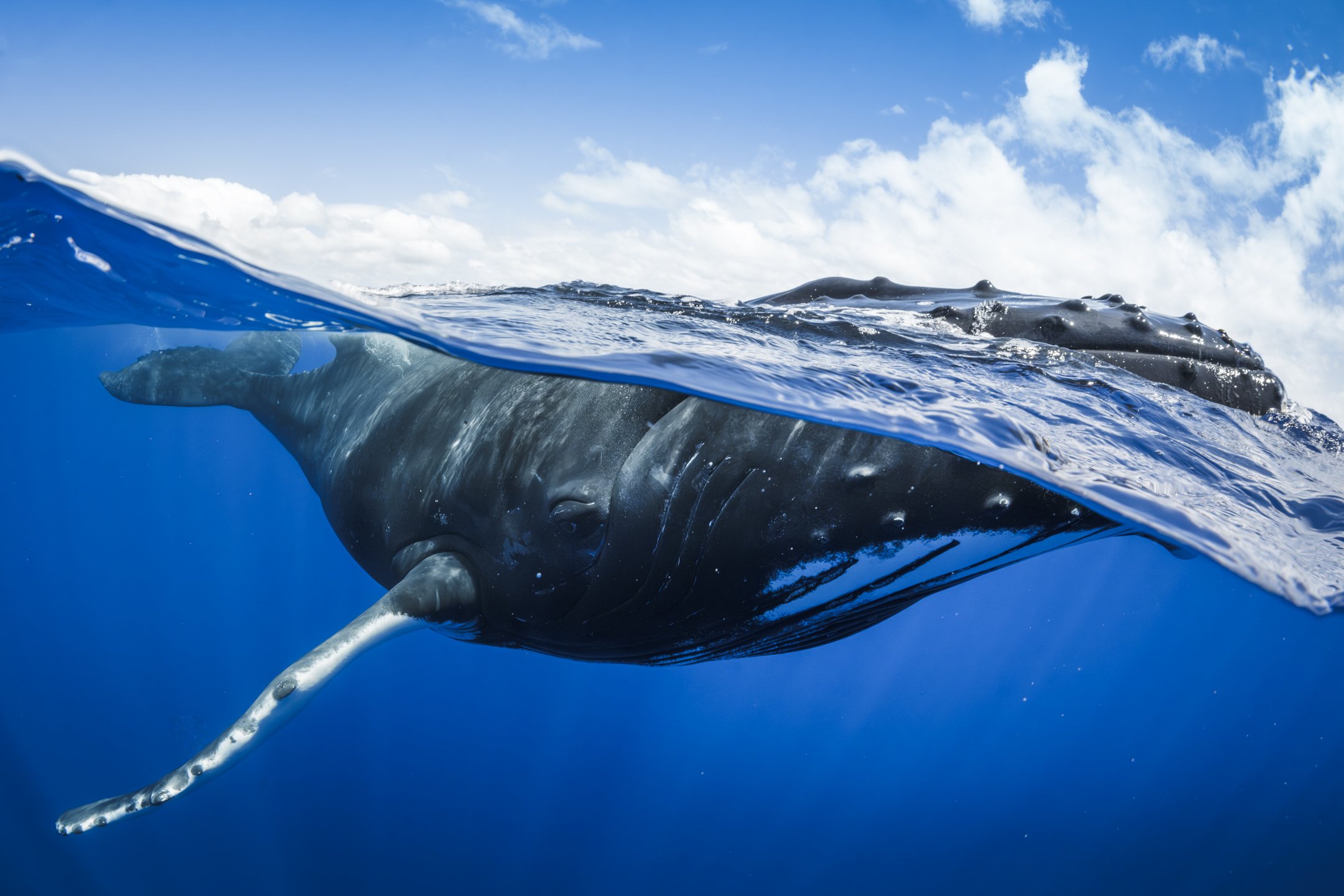 sigma 15mm deliverables -36.jpg