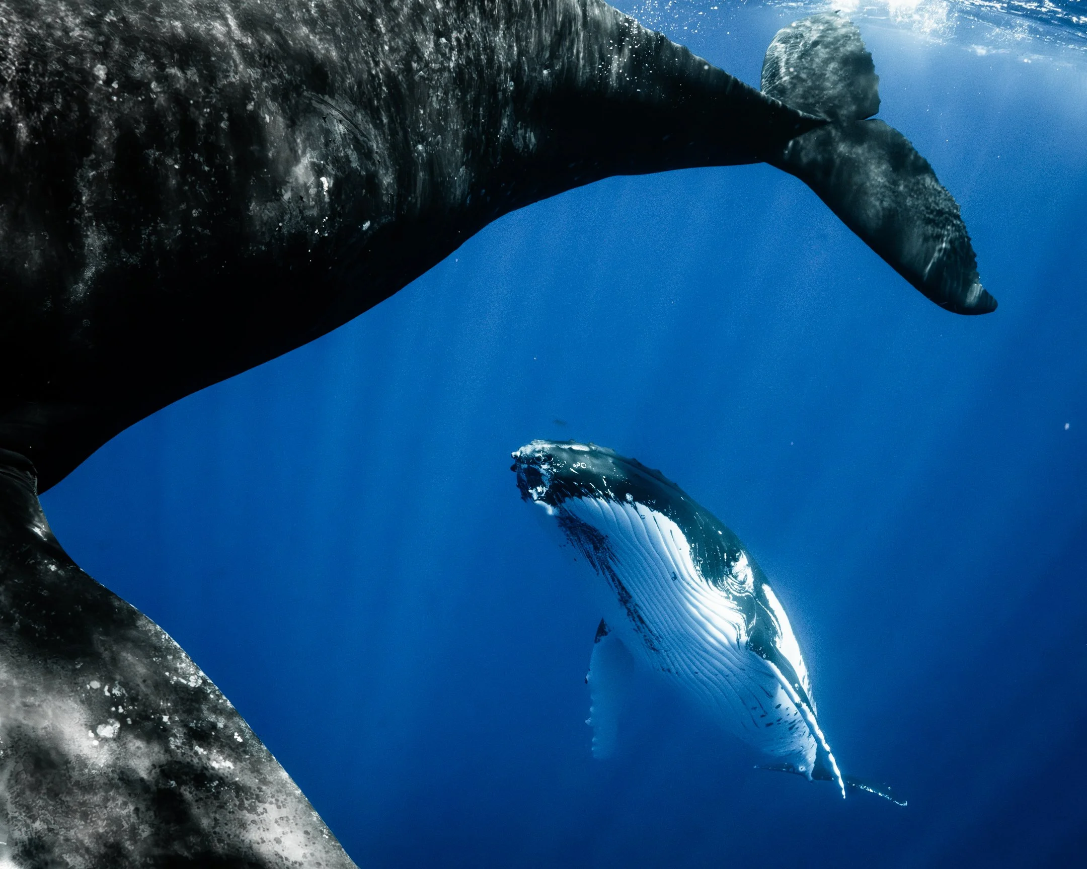 sigma 15mm deliverables -31.jpg