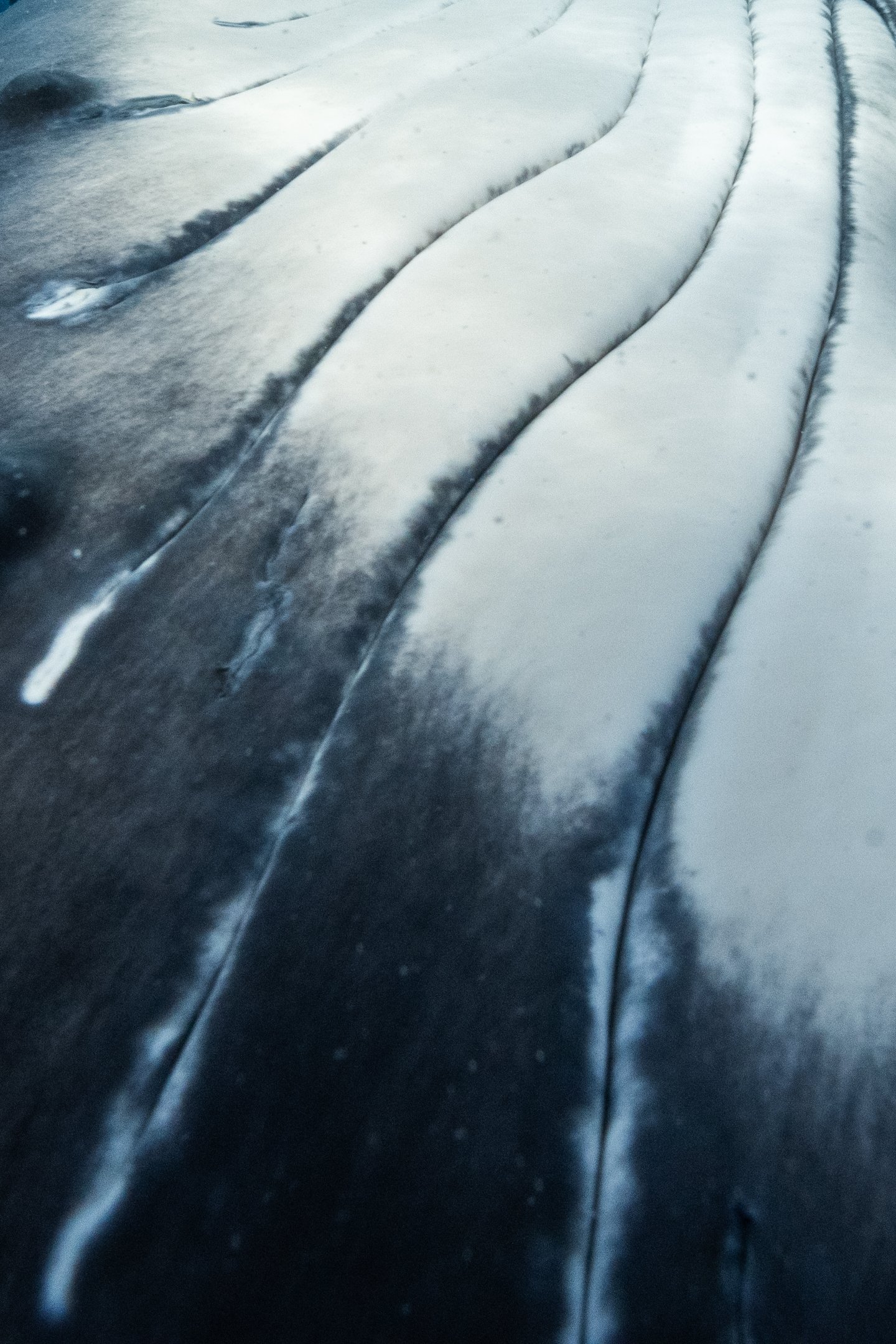 Kellon Spencer_ Sigma_14mm_1.4_Pacific_over under-32.jpg