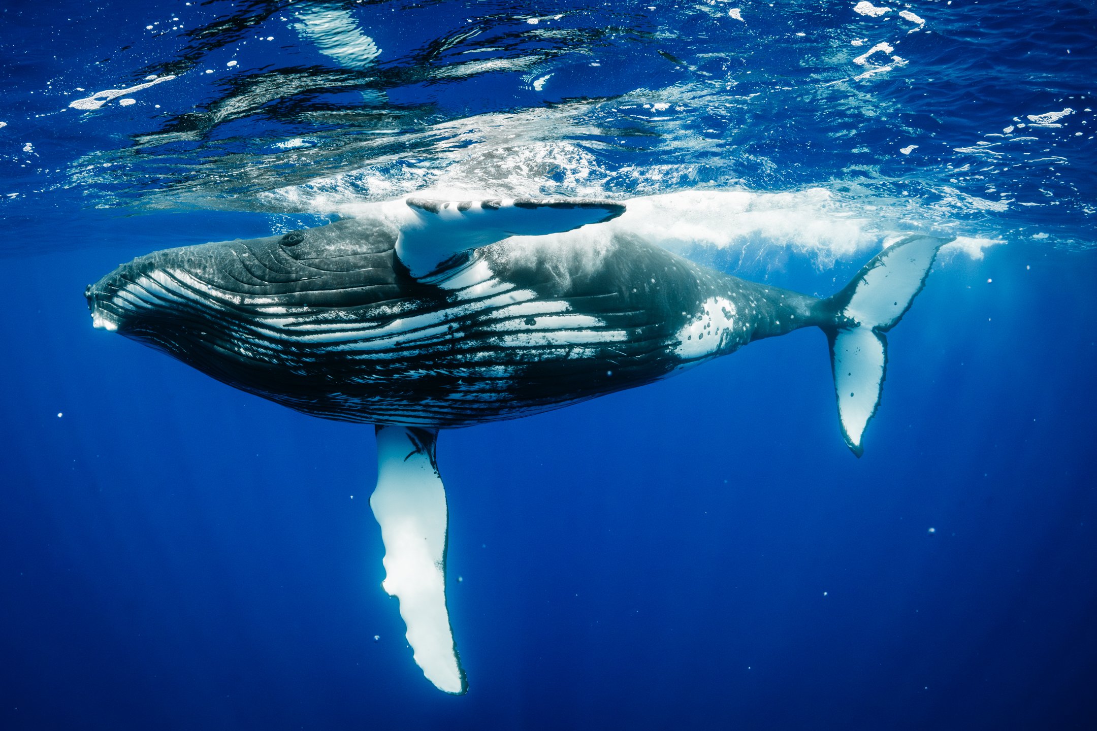 sigma 15mm deliverables -35.jpg