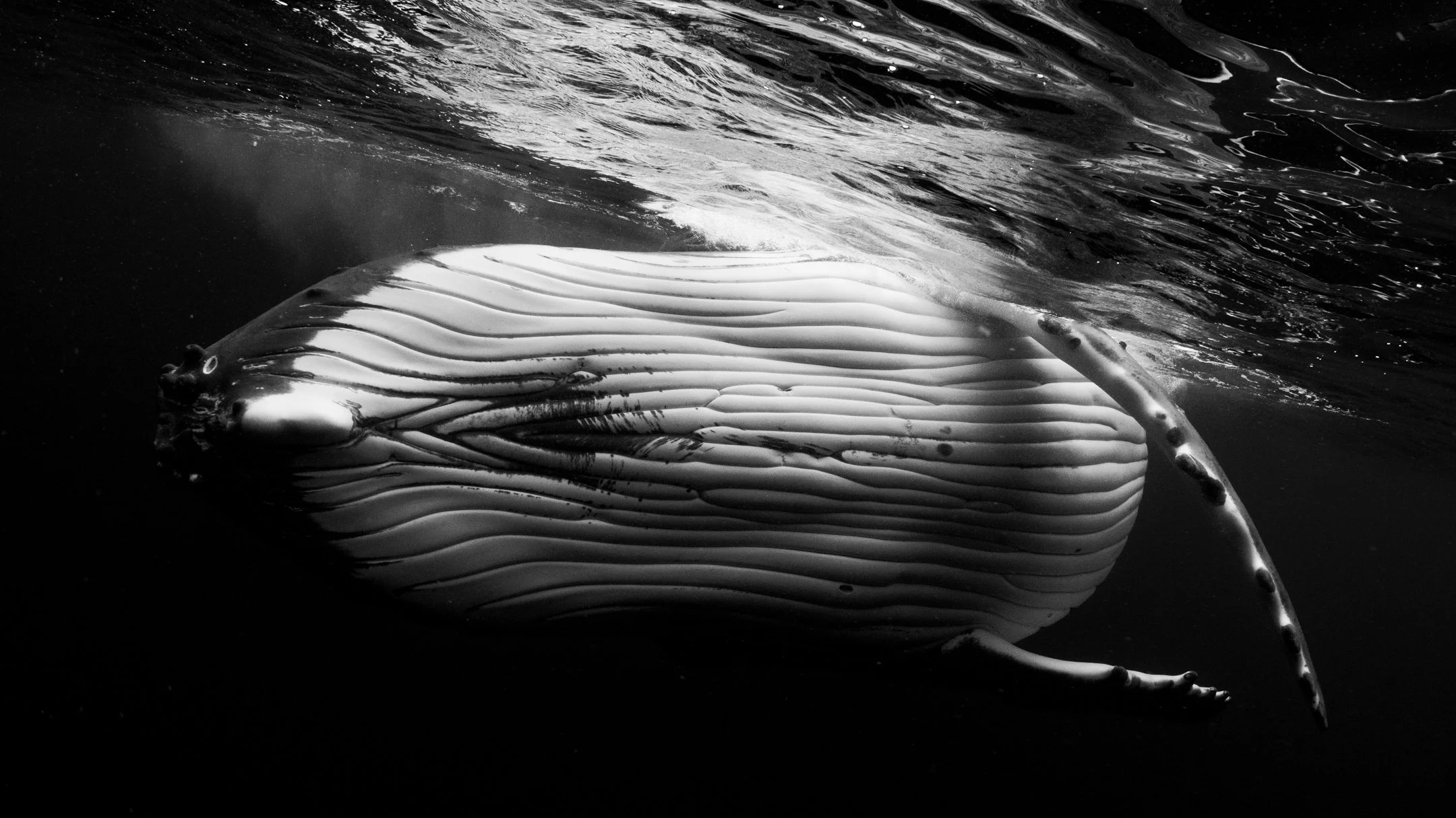 sigma 15mm deliverables -40.jpg