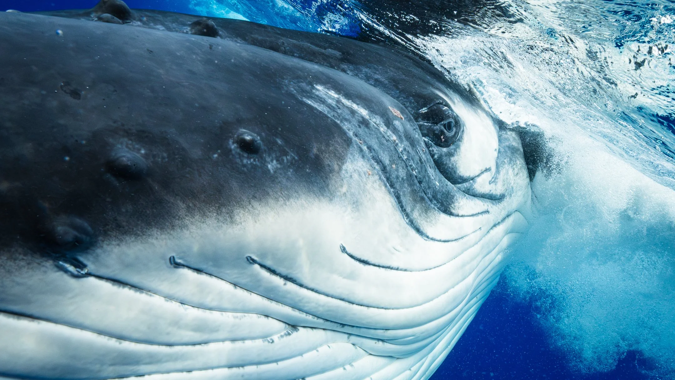 Kellon Spencer_ Sigma_14mm_1.4_Pacific_over under-33.jpg