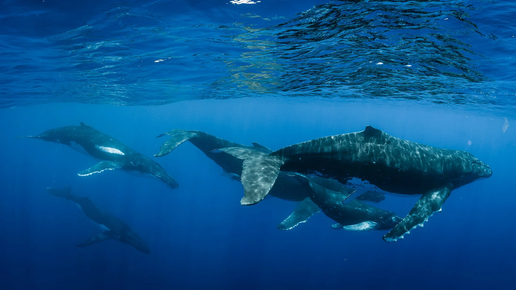 sigma 15mm deliverables -62.jpg