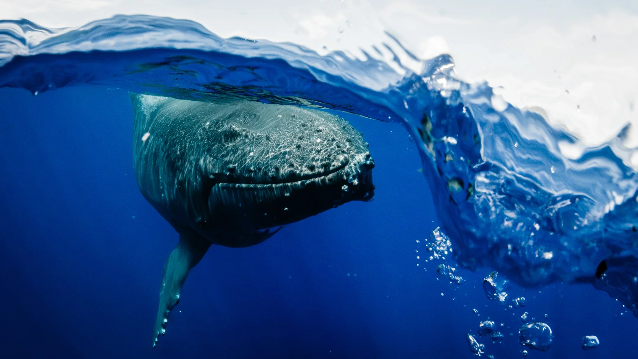 sigma 15mm deliverables -6.jpg