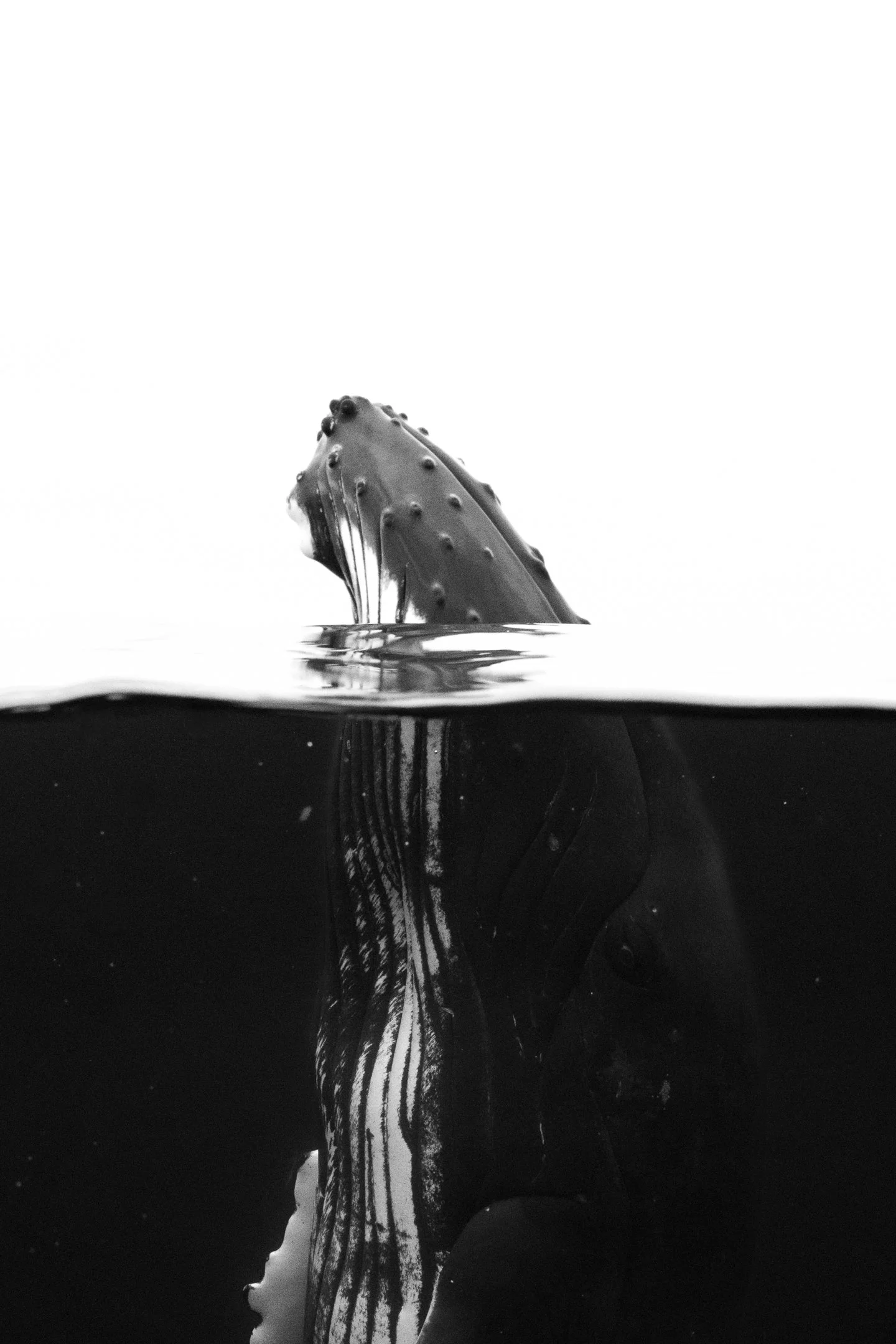 sigma 15mm deliverables -45.jpg