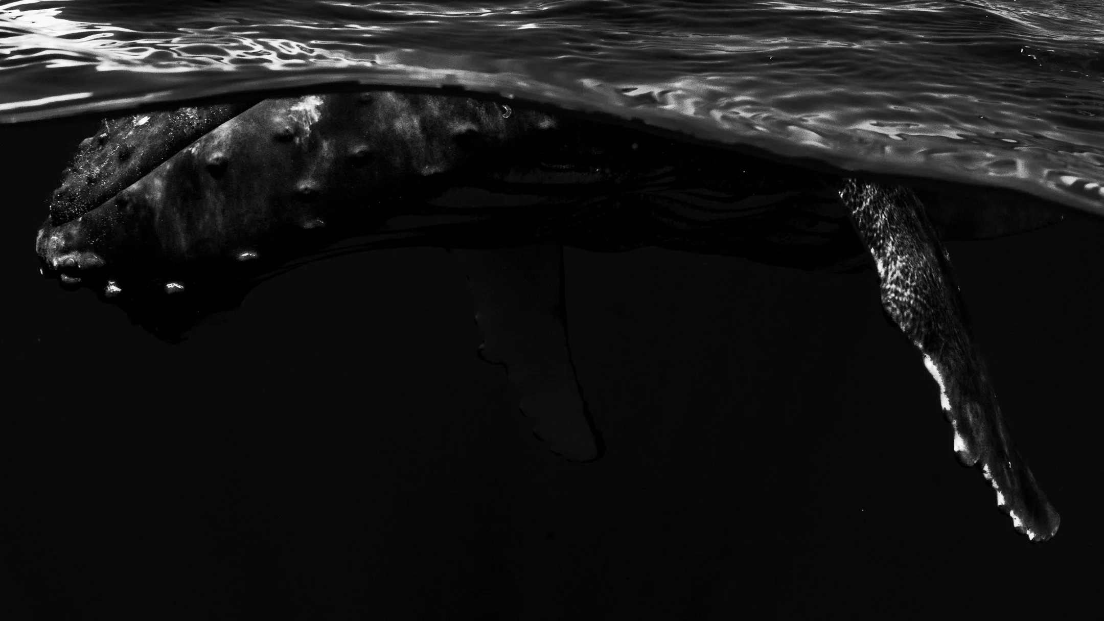 sigma 15mm deliverables -30.jpg