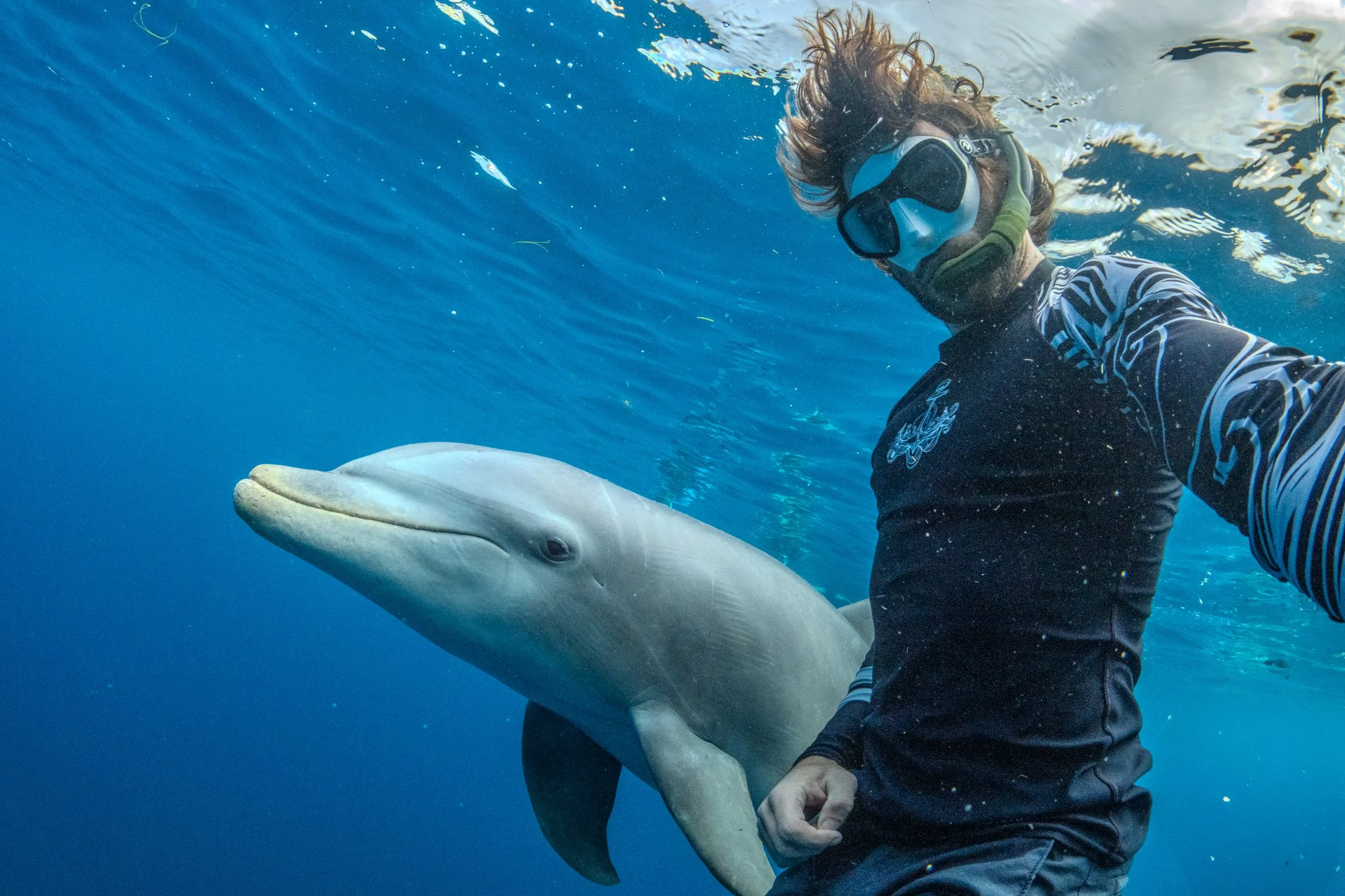 A man wearing a wetsuit, mask, and snorkel taking a selfie underwater with a large bottlenose dolphin.