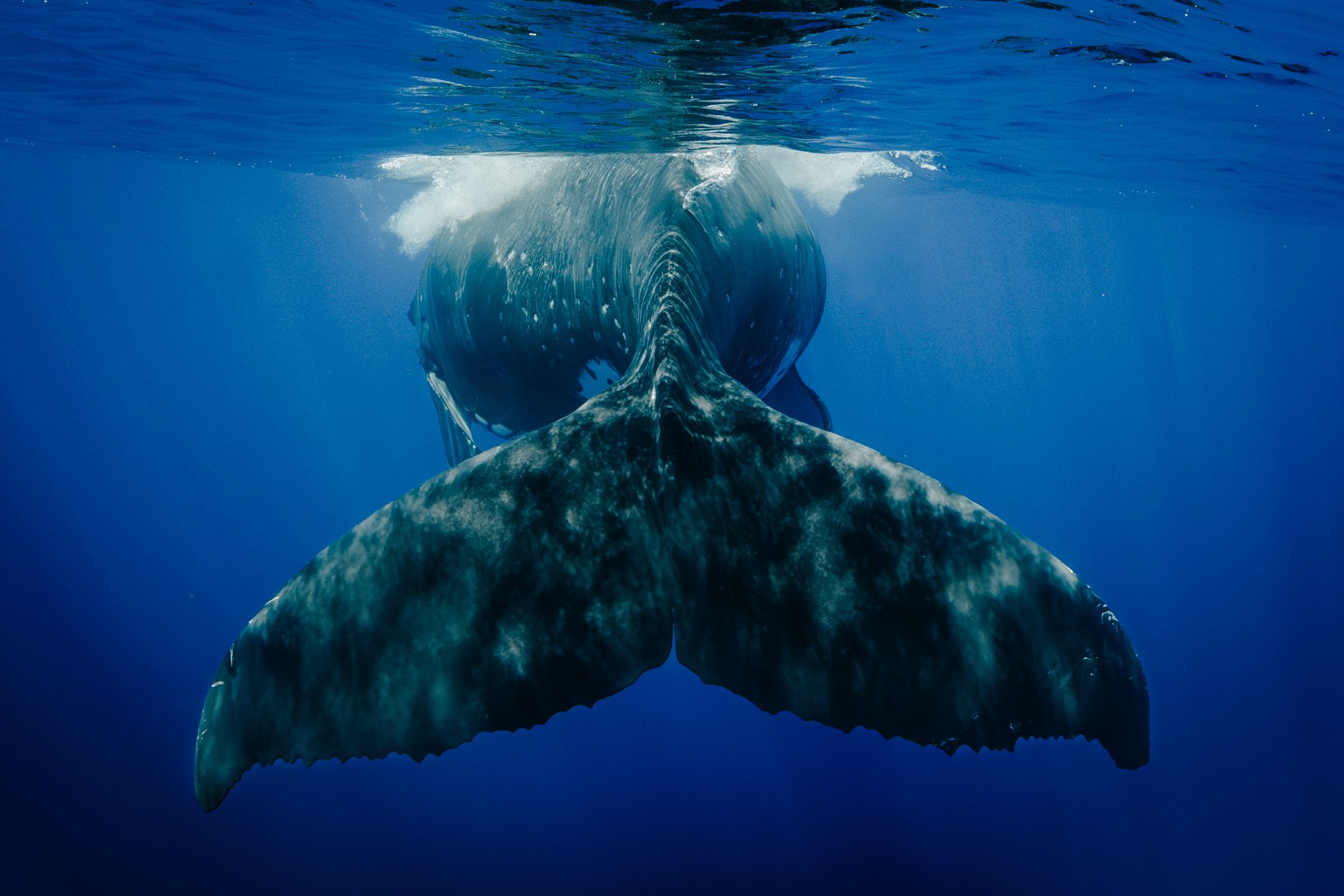 sigma 15mm deliverables -3.jpg