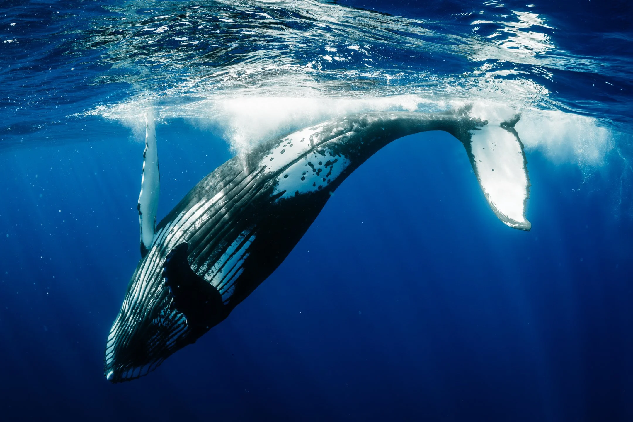 sigma 15mm deliverables -8.jpg