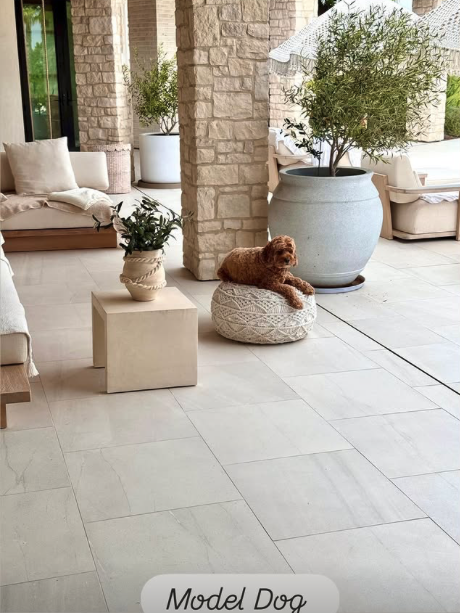 Screenshot 2025-09-03 at 8.36.57 AM.png