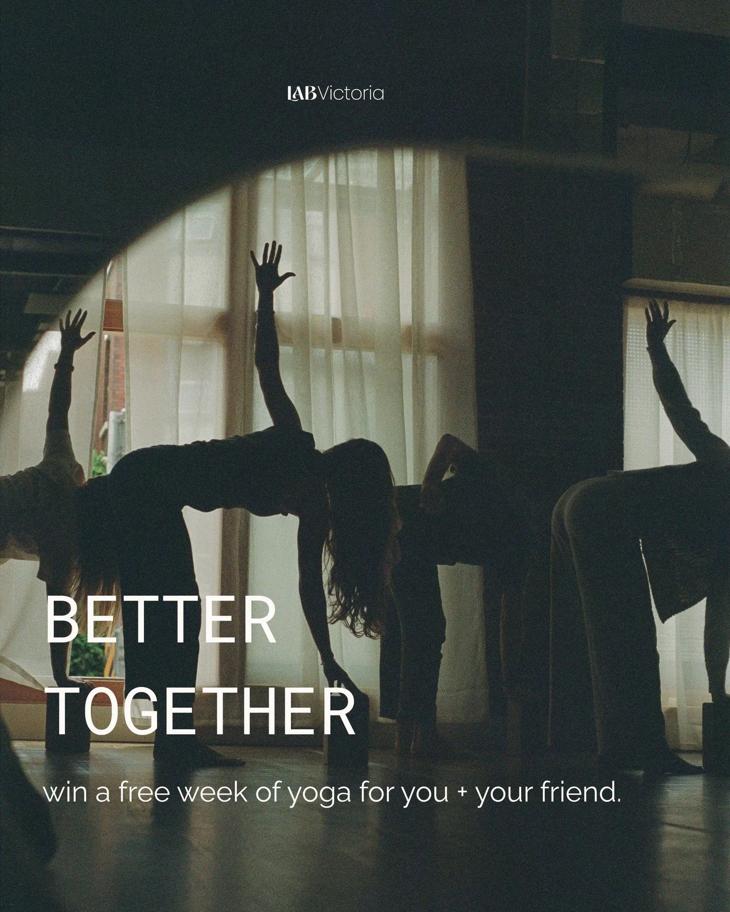 win a free week of yoga for you + a friend | we&rsquo;re celebrating our birthday &ndash; the day the Lab came into our hands and we made it our own. ⁠
⁠
while the studio has been rooted in Victoria for the past seventeen years, it was two years ago 