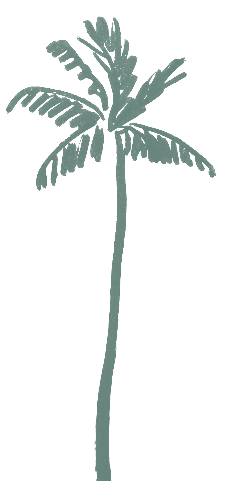 palm-tree-02-seafoam.png