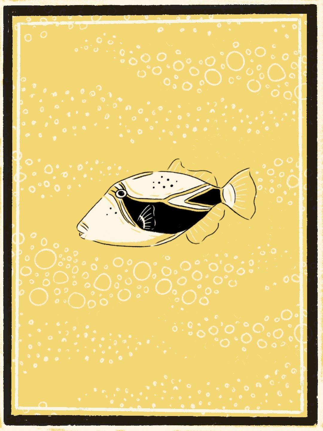 maui-fish-01-humuhumu.jpg