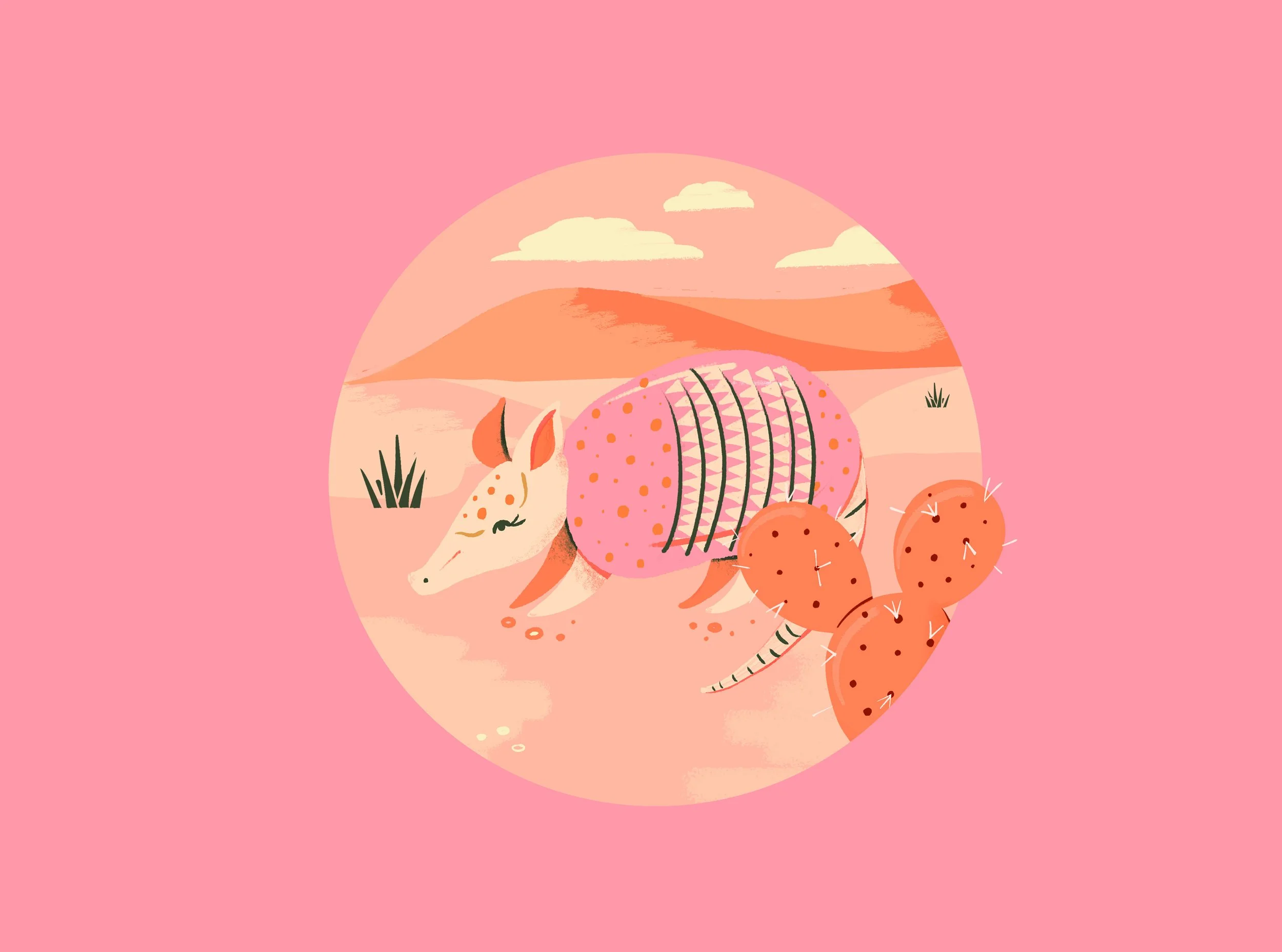 Stylized illustration of a pink and orange armadillo in a desert landscape with mountains and scattered clouds, all within a circular frame on a pink background.