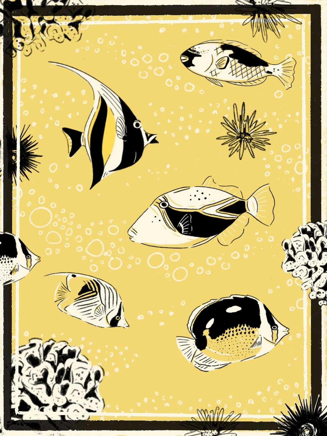 maui-fish-00-all.jpg