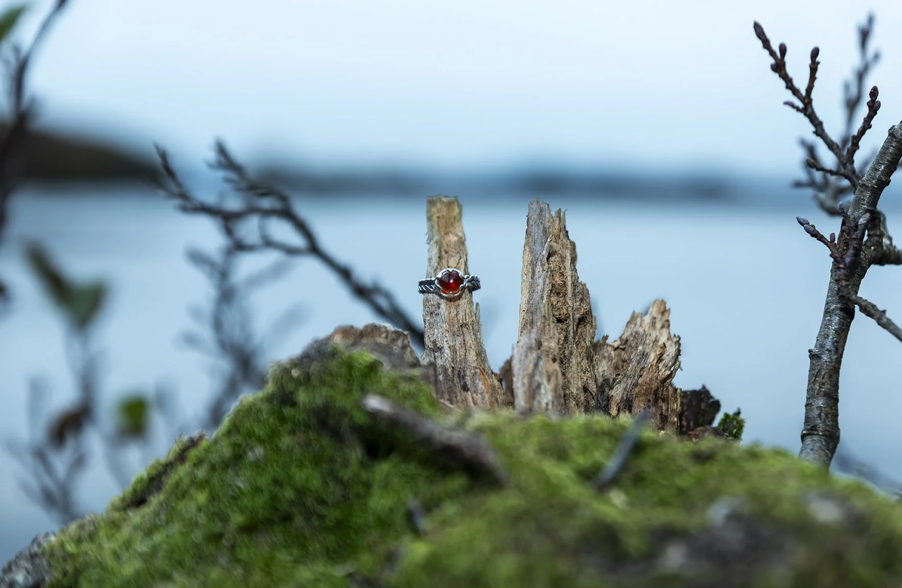 Ring01.jpg