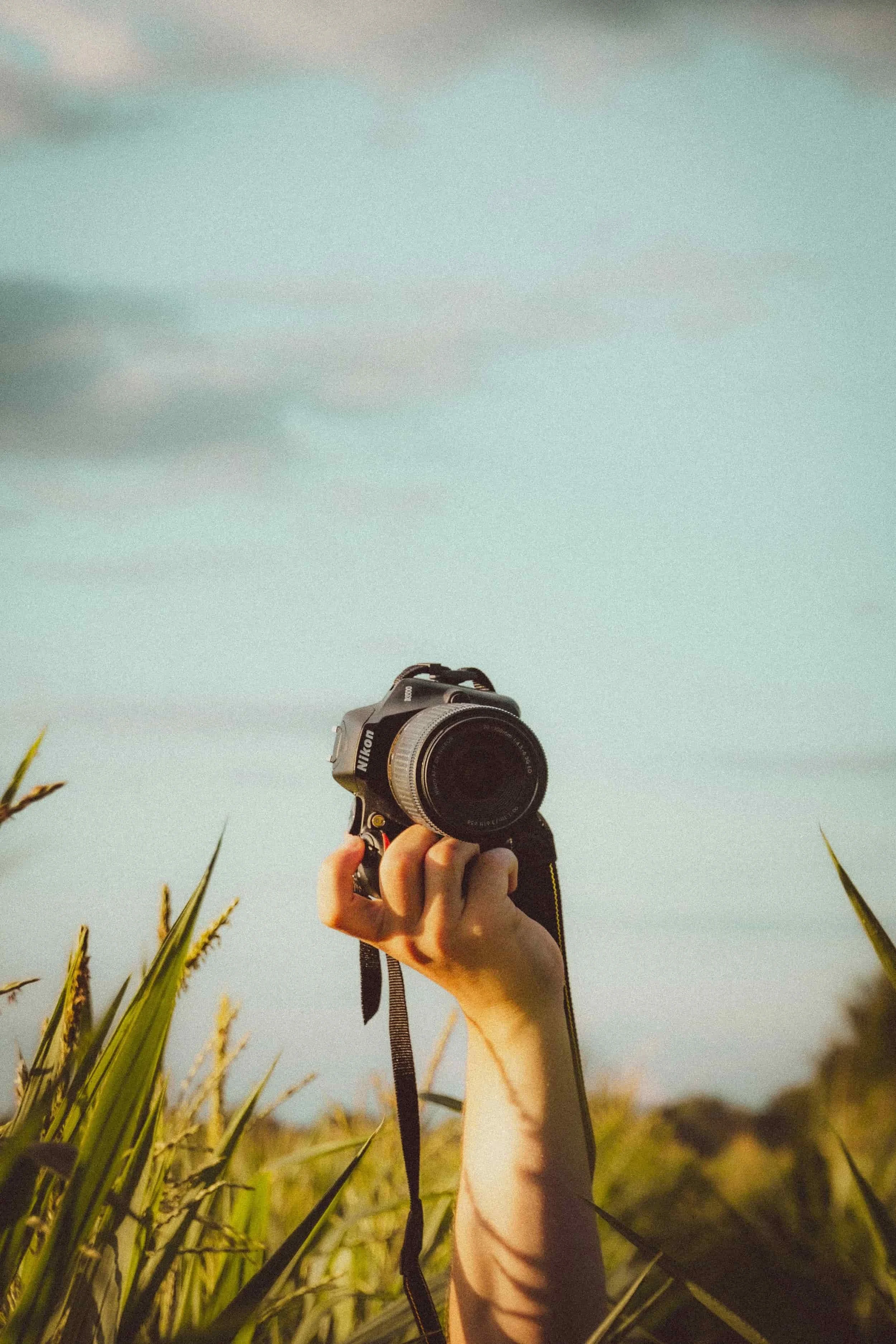 A person's hand holding a Nikon camera above tall green grass under a blue sky with some clouds.