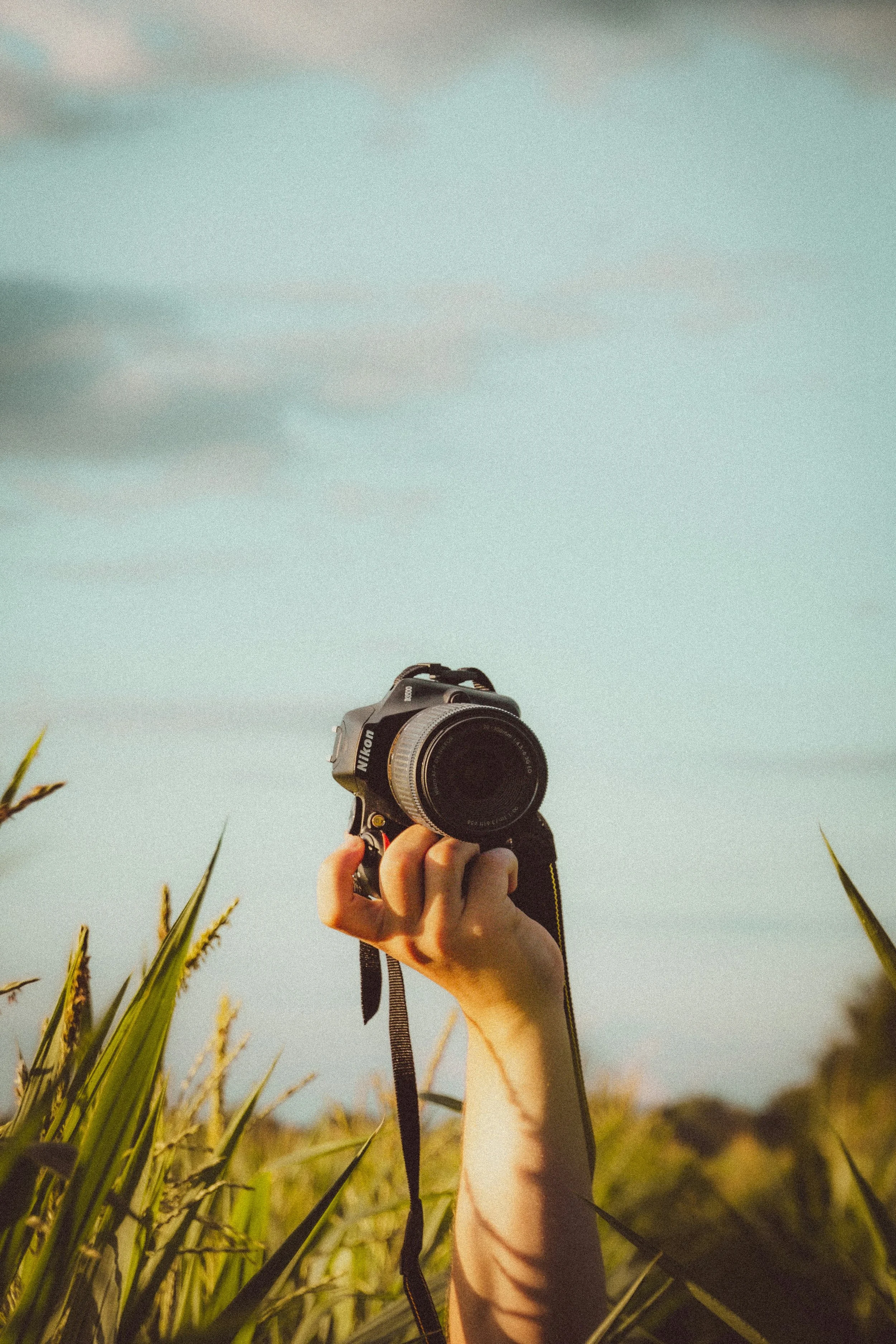 A person's hand holding a Nikon camera above tall green grass under a blue sky with some clouds.