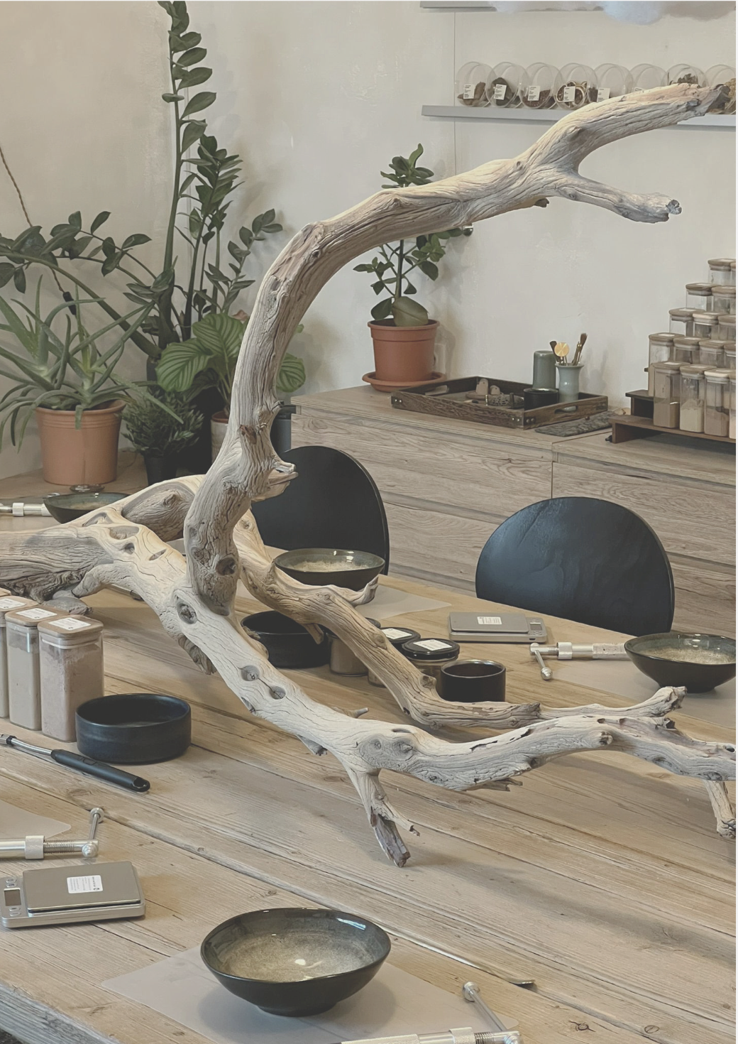 The Workshop of a Scent: A Cozy Afternoon of Crafting Natural Incense
