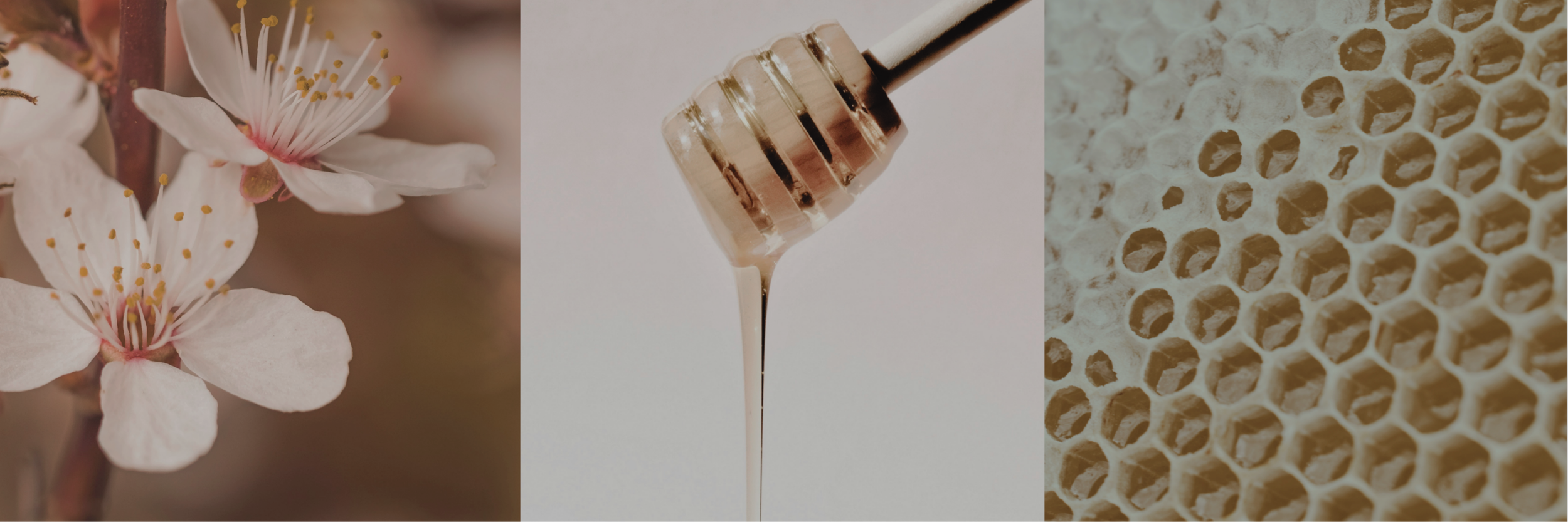 HONEY