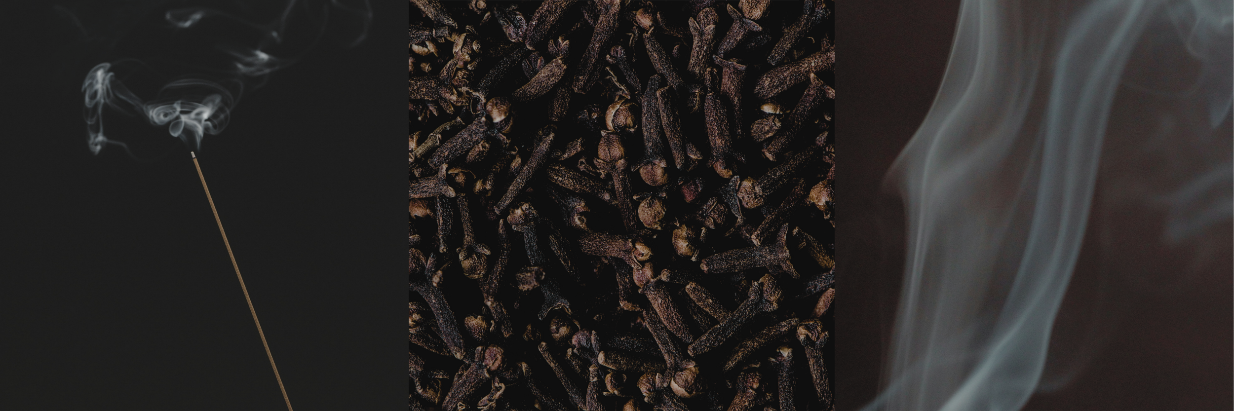 CLOVE