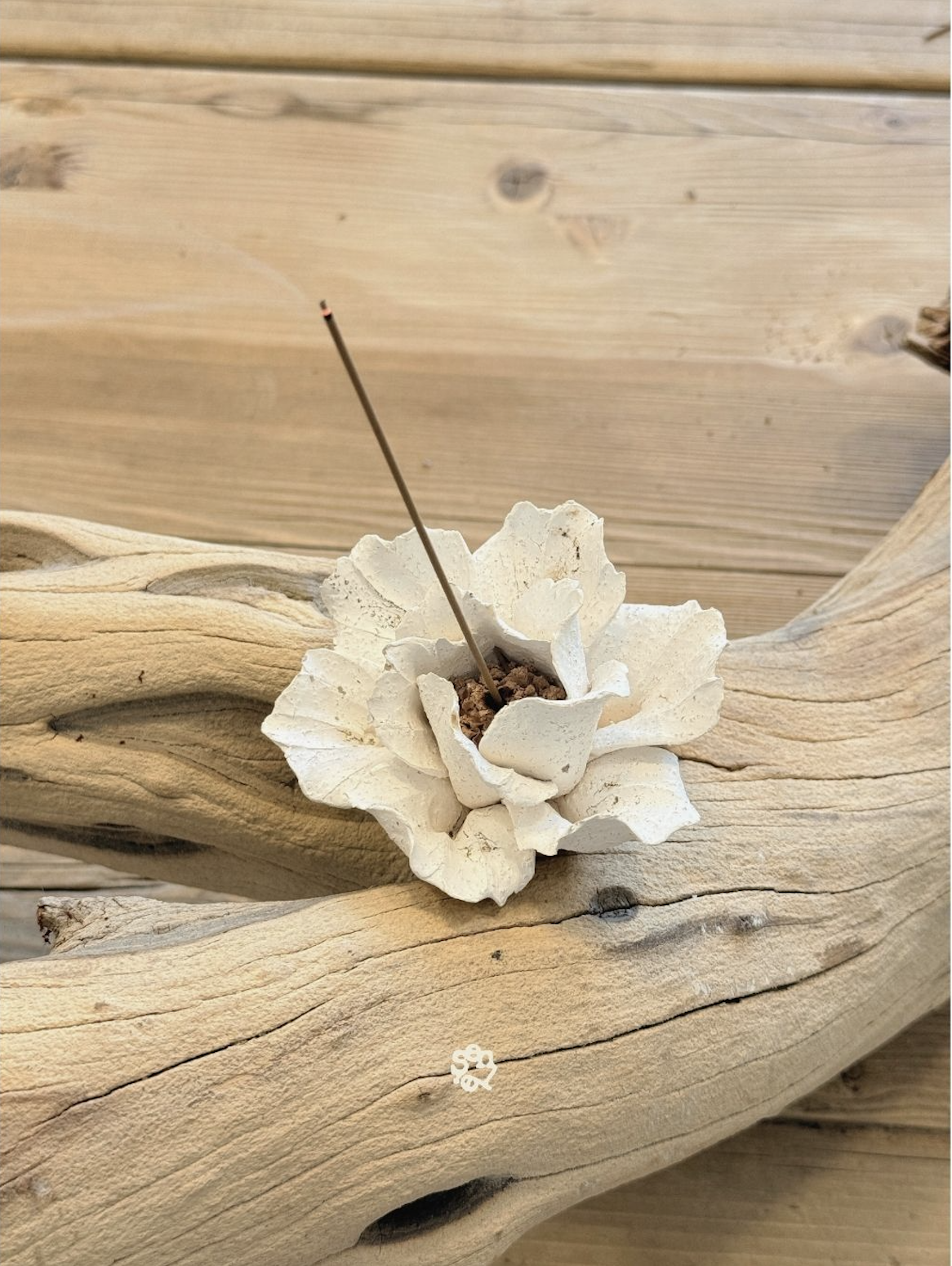 A Trace of Nature Indoors: Living with the Bloom Holder