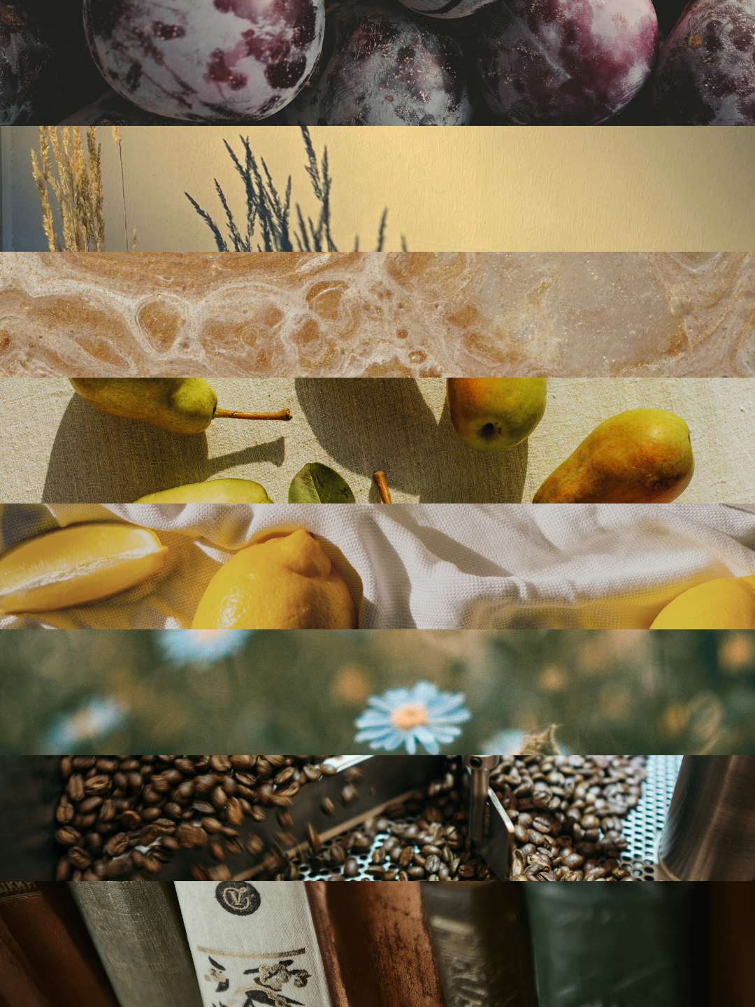 Complete Senlë Sample Pack - 8 scents