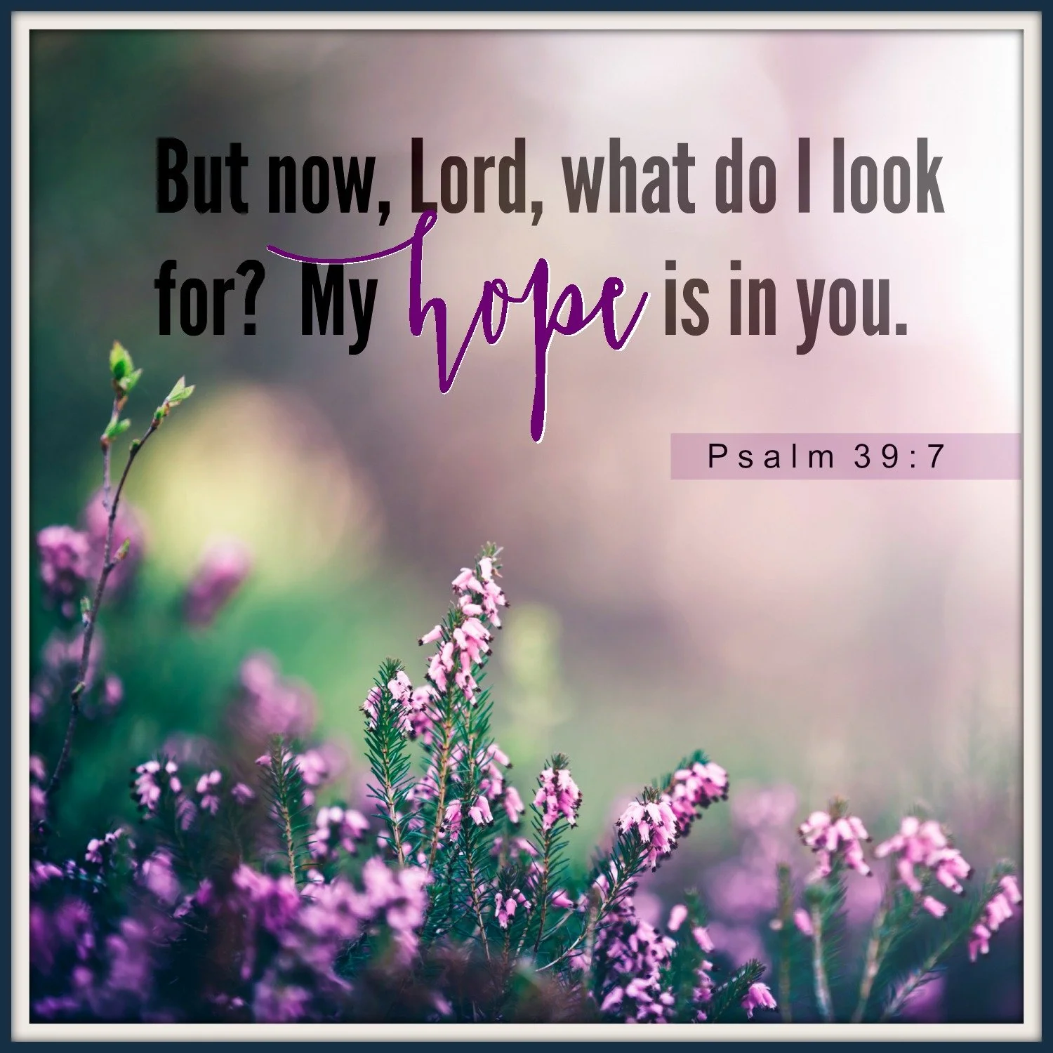 A Daily Walk with Jesus