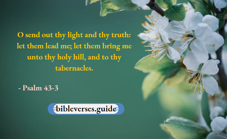 A Daily Walk with Jesus