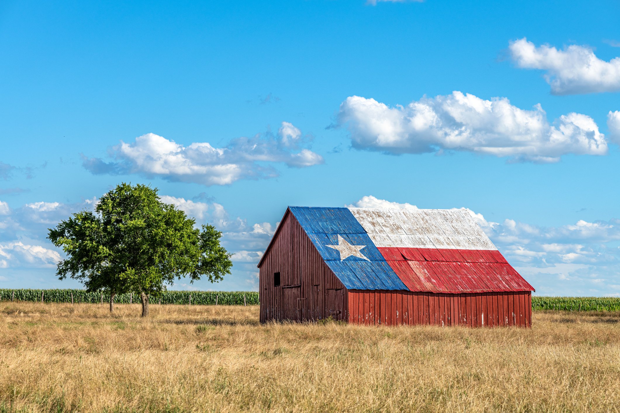 Red barn with Texas flag painted on roof, in a field with two trees and a blue sky with clouds