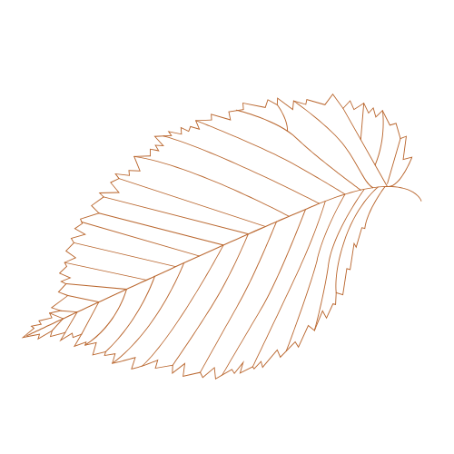 Illustration of a leaf with an outlined wireframe style in orange and black background.