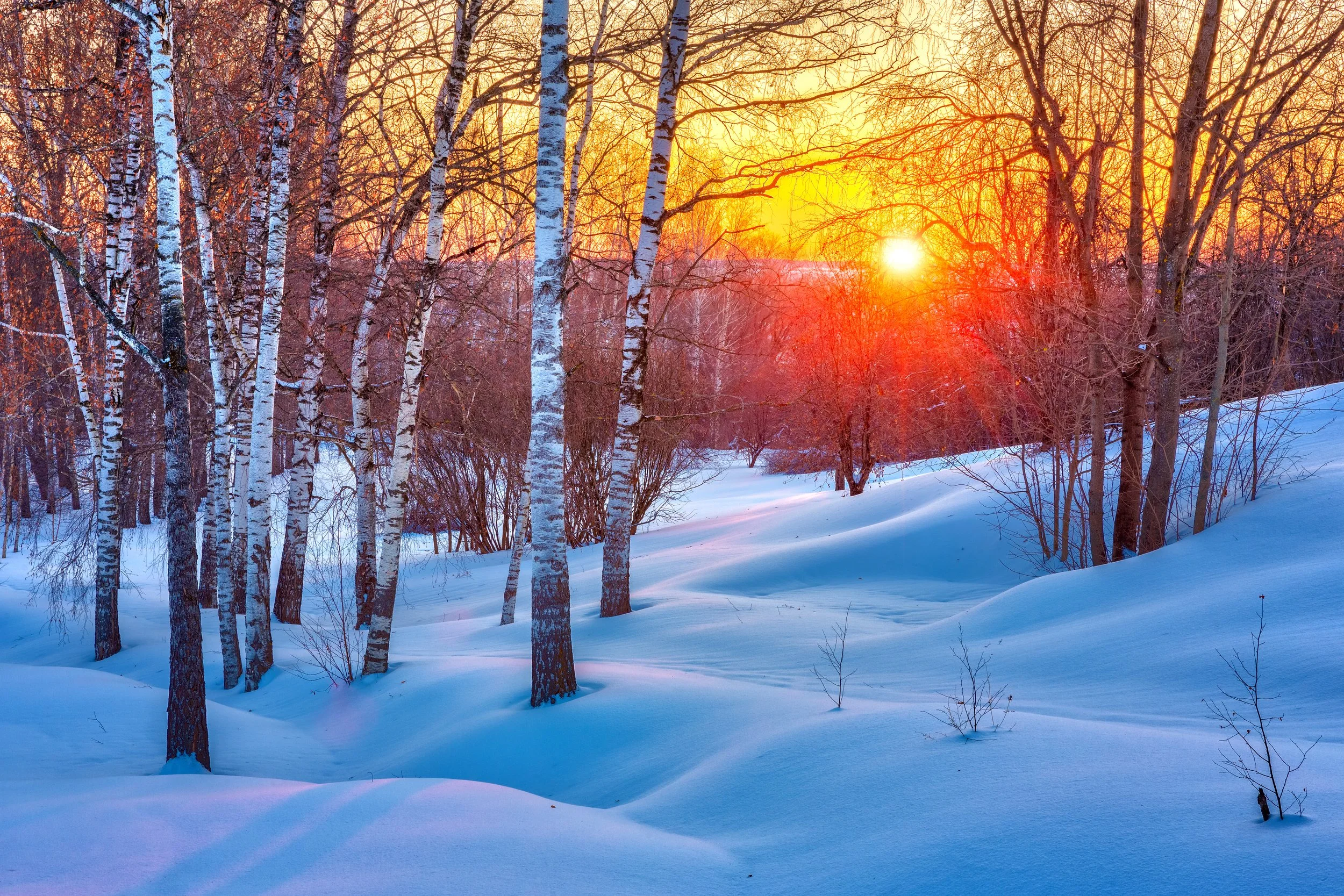 Snow-covered landscape with trees and a bright setting sun on the horizon giving off an orange and yellow glow.