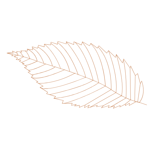Outline of a leaf with visible vein structure on a black background.