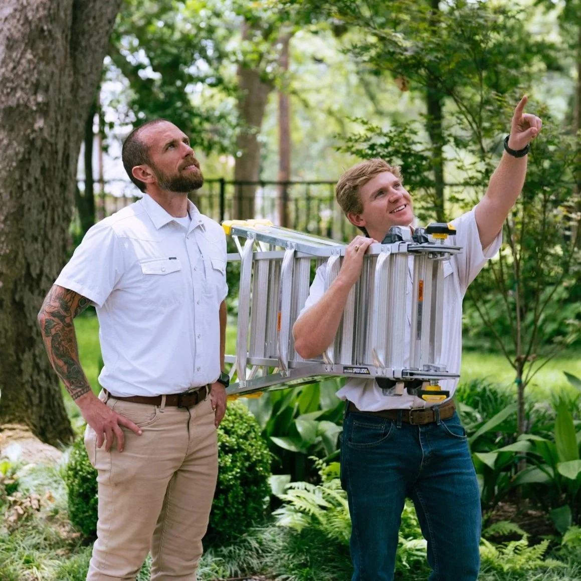 Two men working outdoors in a lush green garden, one holding a ladder and the other pointing upwards.