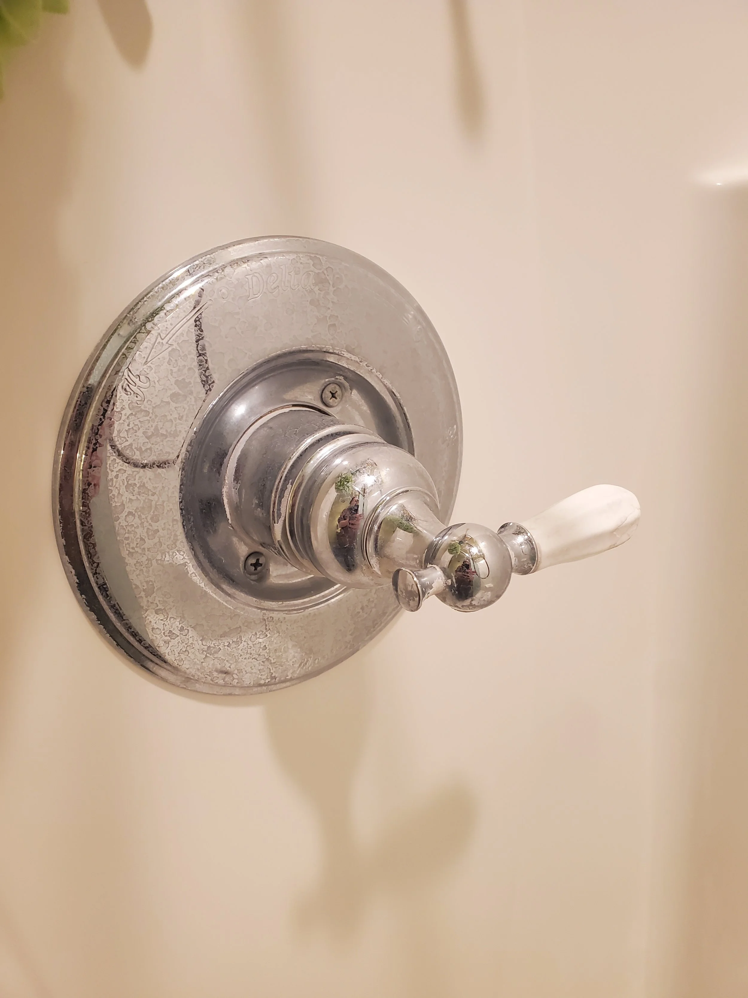 Angelica Lovesee Cleaning Lopez Island Washington San Juan County Washington Vacation Rental Management Housecleaning Best Housecleaner on Lopez Island Best Housecleaner on San Juan Island Best Housecleaner Orcas Island