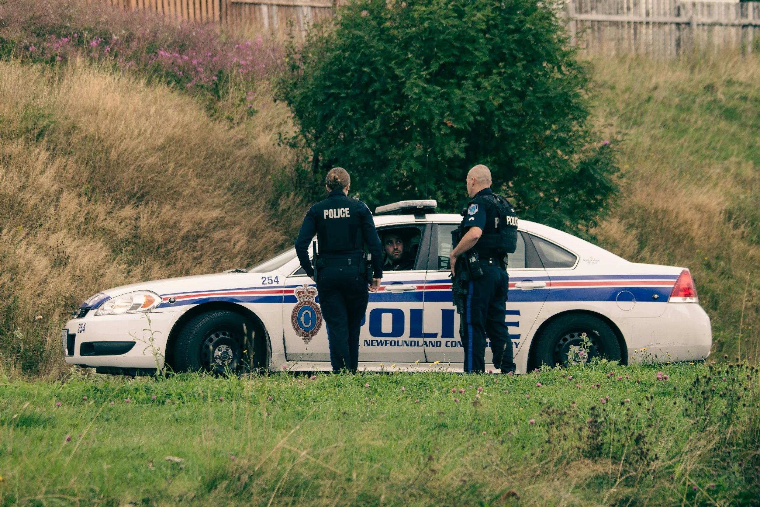 Two police officers talking to a driver in a police car on a grassy area with brown and green vegetation and a tree in the background.