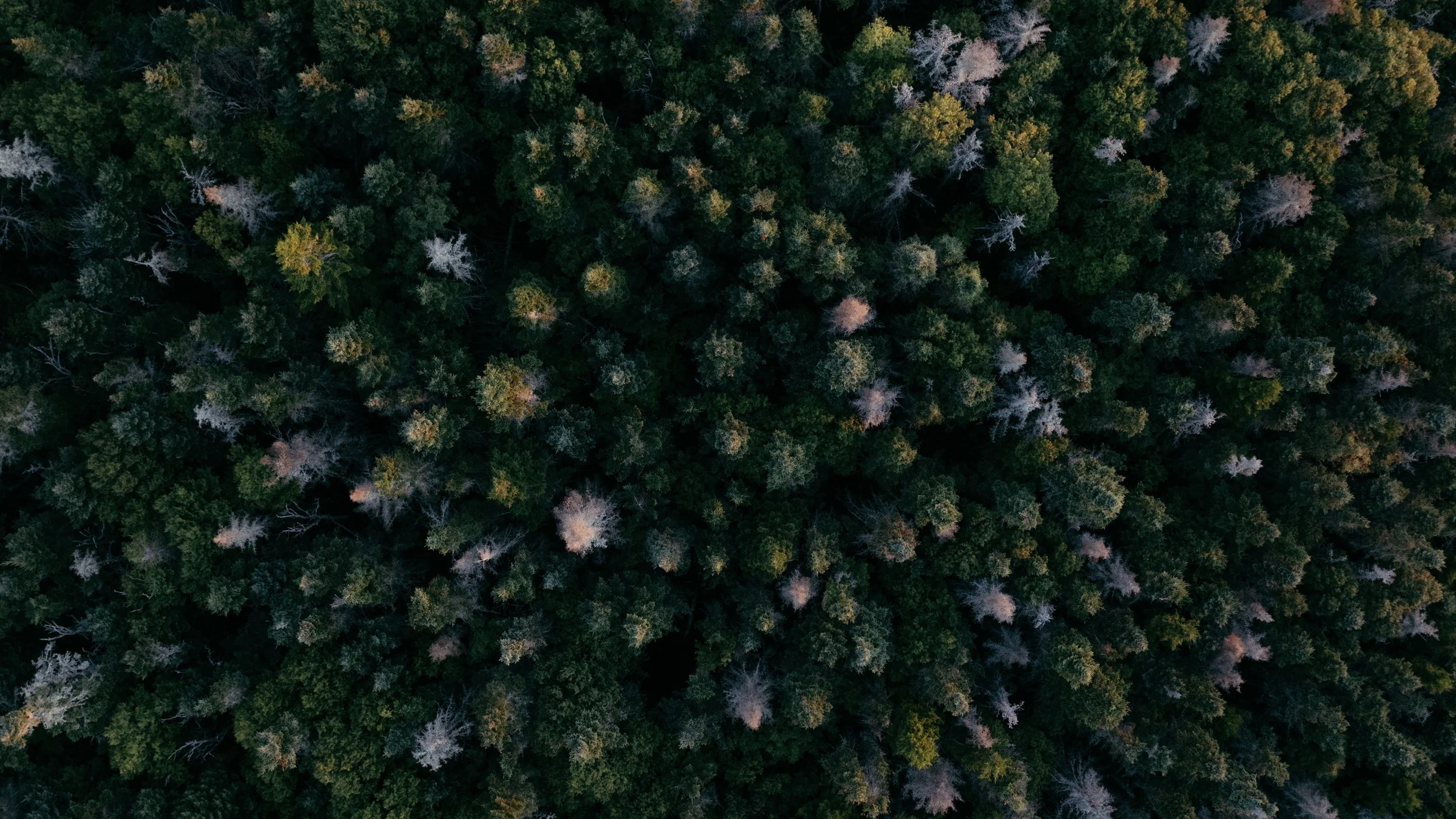 DJI_20250821193145_0036_D 2.jpg