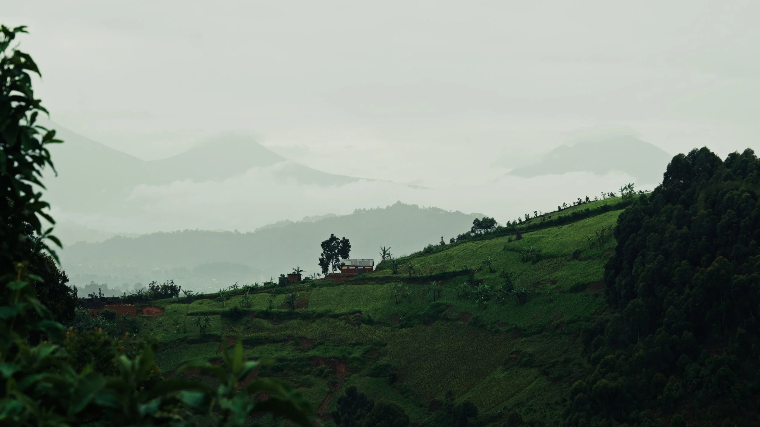 Uganda